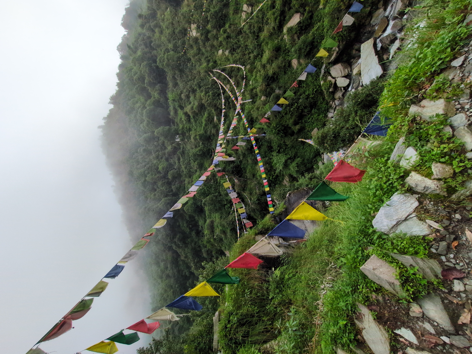 The image depicts a hillside adorned with strings of Tibetan prayer flags. The flags are multi-colored, predominantly red, yellow, blue, green, and white, strung across the frame at various heights. They flutter gently against a backdrop of lush green foliage and a misty, overcast sky. The hillside is covered in dense vegetation, with trees and bushes growing densely. Rocks and stones are visible on the ground in the foreground. A narrow, rocky stream or riverbed is partially visible further down the slope. The scene appears to be in a natural, mountainous environment, consistent with the location of Bhagsu, India, known for its scenic beauty and Tibetan Buddhist influences. There are no people visible in the image.