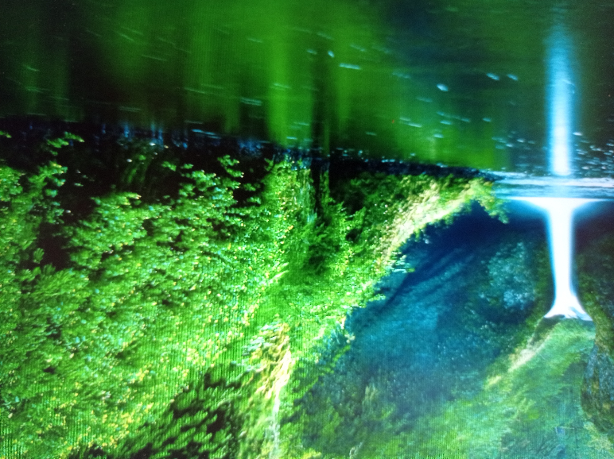 The image depicts a natural landscape featuring a waterfall cascading into a body of water. Lush green vegetation covers the surrounding rocks and cliffs. The water in the foreground is a deep green, reflecting the foliage above. Sunlight filters through the trees, creating bright highlights on the water and the vegetation. The scene is tranquil and appears to be an outdoor natural environment.
The request to include the location in the city of Mukachevo, Ukraine, cannot be fulfilled as the image does not provide any visual cues or context to suggest this specific location. Therefore, any description regarding Mukachevo would be speculative and inaccurate.