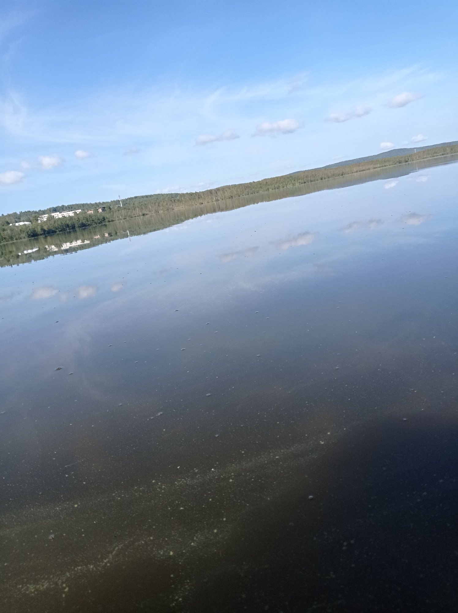 The image captures a serene natural scene with a body of water in the foreground, reflecting the sky and a distant tree line. The water is calm, with faint ripples and some small bubbles on its surface. The sky is a clear blue with scattered white clouds. The background shows a dense forest that runs along the horizon, dotted with some buildings that appear to be part of a settlement. The reflection on the water is clear, mirroring the sky, clouds, and the structures on the shore. The overall impression is one of tranquility and a quiet, possibly rural, landscape. This scene is likely situated near the city of Degtyarsk, Russia, given the context provided.