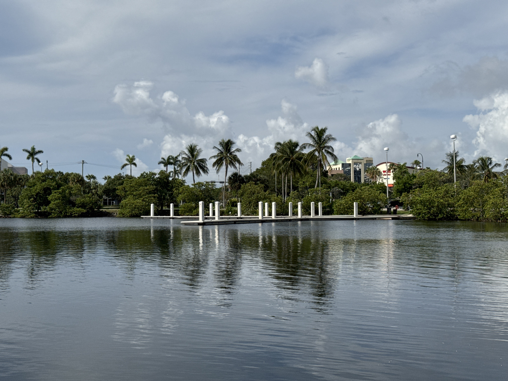 The image depicts a calm body of water in Fort Lauderdale, Florida. The foreground is dominated by the dark, rippling surface of the water, reflecting the sky and the scene beyond. In the mid-ground, a white, modern-looking dock juts out into the water, supported by pilings. The dock is empty, with no people or boats visible.
Beyond the dock, lush green trees and palm trees form a dense line along the edge of the water. In the background, buildings are visible above the tree line, including structures with green roofs and a building with red accents. Several streetlights are also scattered throughout the scene.
The sky is partly cloudy with large, fluffy white clouds against a pale blue backdrop. The lighting suggests it is daytime, likely late morning or early afternoon. The overall atmosphere is serene and peaceful, with a strong sense of being in a tropical environment. There are no discernible emotions conveyed in the image, as it is primarily a landscape shot. No text is clearly visible in the image.