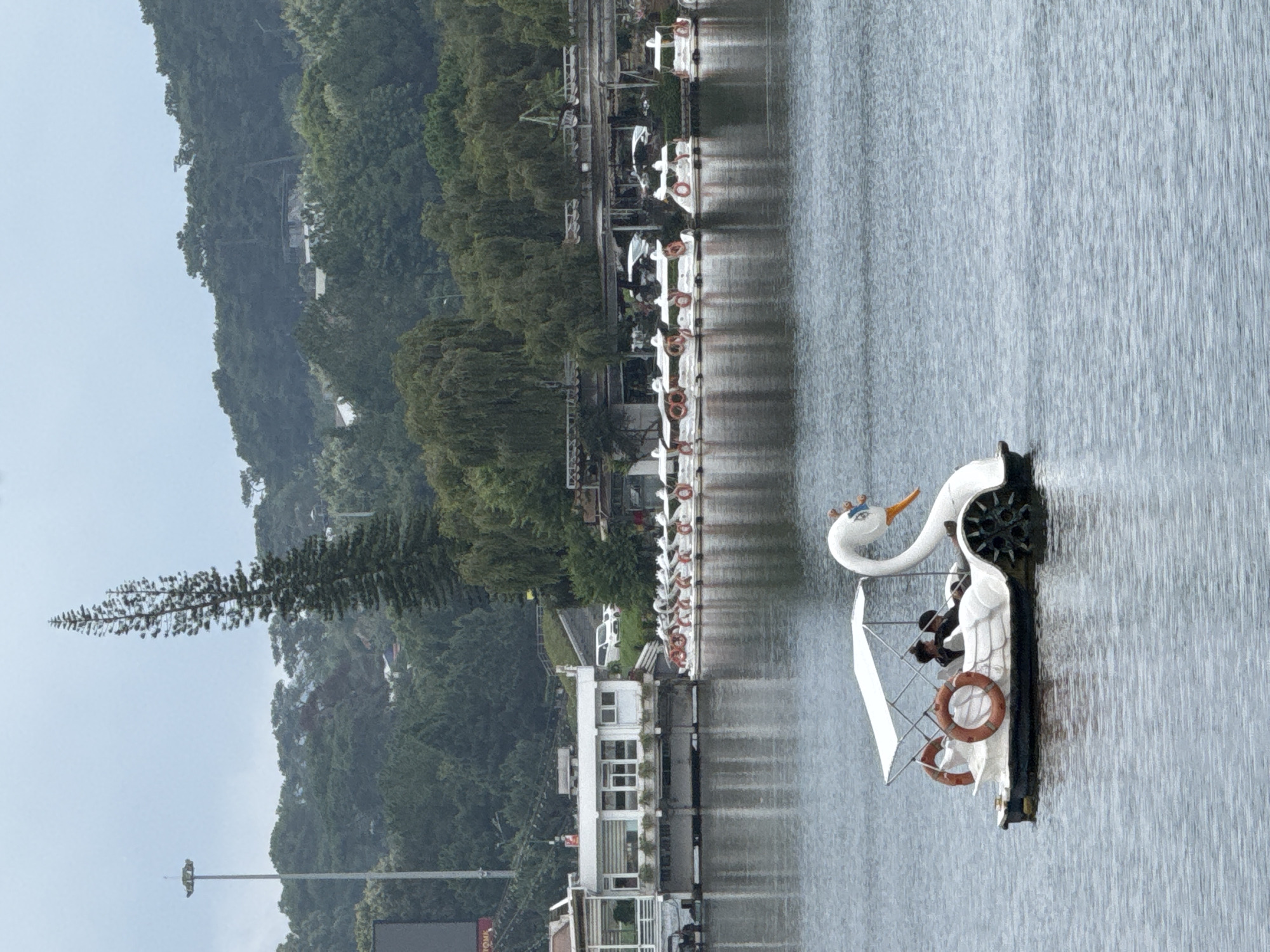 The image captures a serene view of Xuan Huong Lake in Da Lat, Vietnam. In the foreground, a white swan-shaped pedal boat glides across the calm water, carrying two individuals. The boat features an orange lifebuoy on each side and a white canopy providing shade. In the background, a row of identical white pedal boats is docked along the shore, with a few people visible on one of them. A white building with large windows stands on stilts over the water, adjacent to a set of stairs leading up to a road where several cars are parked. The lake is surrounded by lush green trees and rolling hills, with a tall, slender pine tree standing out against the overcast sky. The overall atmosphere is peaceful and tranquil, typical of a popular tourist spot.