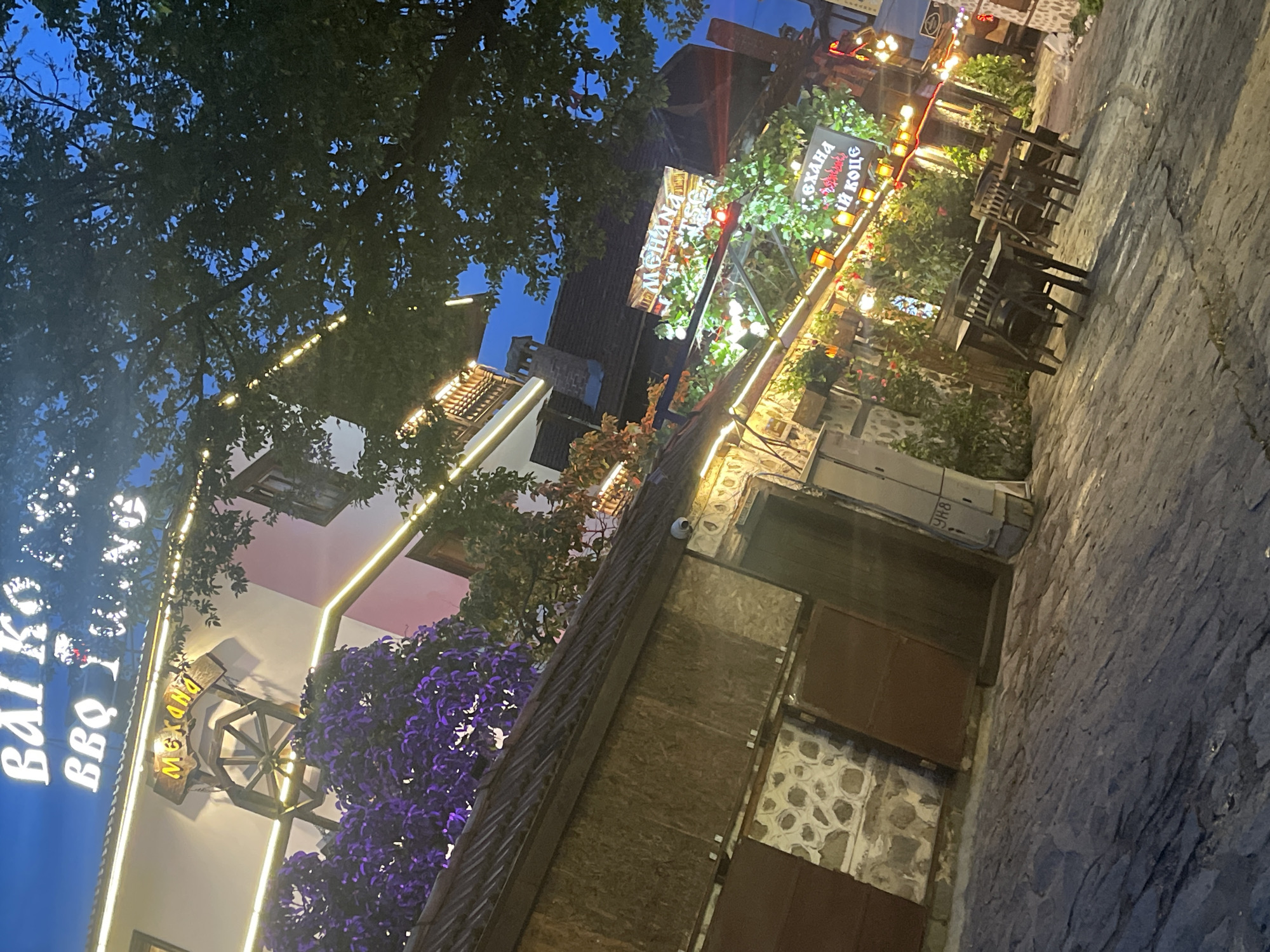 The image captures an outdoor street or courtyard scene at evening or night, illuminated by numerous artificial lights. No people are visible. The setting features several buildings, some with traditional stone walls and wooden elements, others with lighter facades. The ground is paved with dark stone or cobblestones.
Dense foliage from large trees covers the upper portion of the frame against a dark blue sky, suggesting dusk or night. Strings of warm, glowing lights are strung between trees and buildings, while linear LED strips highlight architectural features. Vibrant purple flowering plants are visible near one of the buildings, adding a splash of color.
The presence of multiple signs and outdoor tables and chairs on the right side indicates a commercial area, likely featuring restaurants or taverns. One decorative element includes a wooden wagon wheel integrated into a sign. A small white security camera is mounted on a building to the right.
Visible text on the signs, written in Cyrillic script, includes:
- A vertical sign on the left reads "БАЙ КОК BBQ" (Bai Kok BBQ).
- A sign on a wooden wagon wheel in the center says "МЕХАНА" (Mehana, meaning Tavern).
- Another sign further right also reads "МЕХАНА" with "ДЯДО КОЦЕ" (Dyado Kotse, meaning Grandpa Kotse) below it.
The overall atmosphere is cozy and inviting, characteristic of an evening leisure or dining spot.