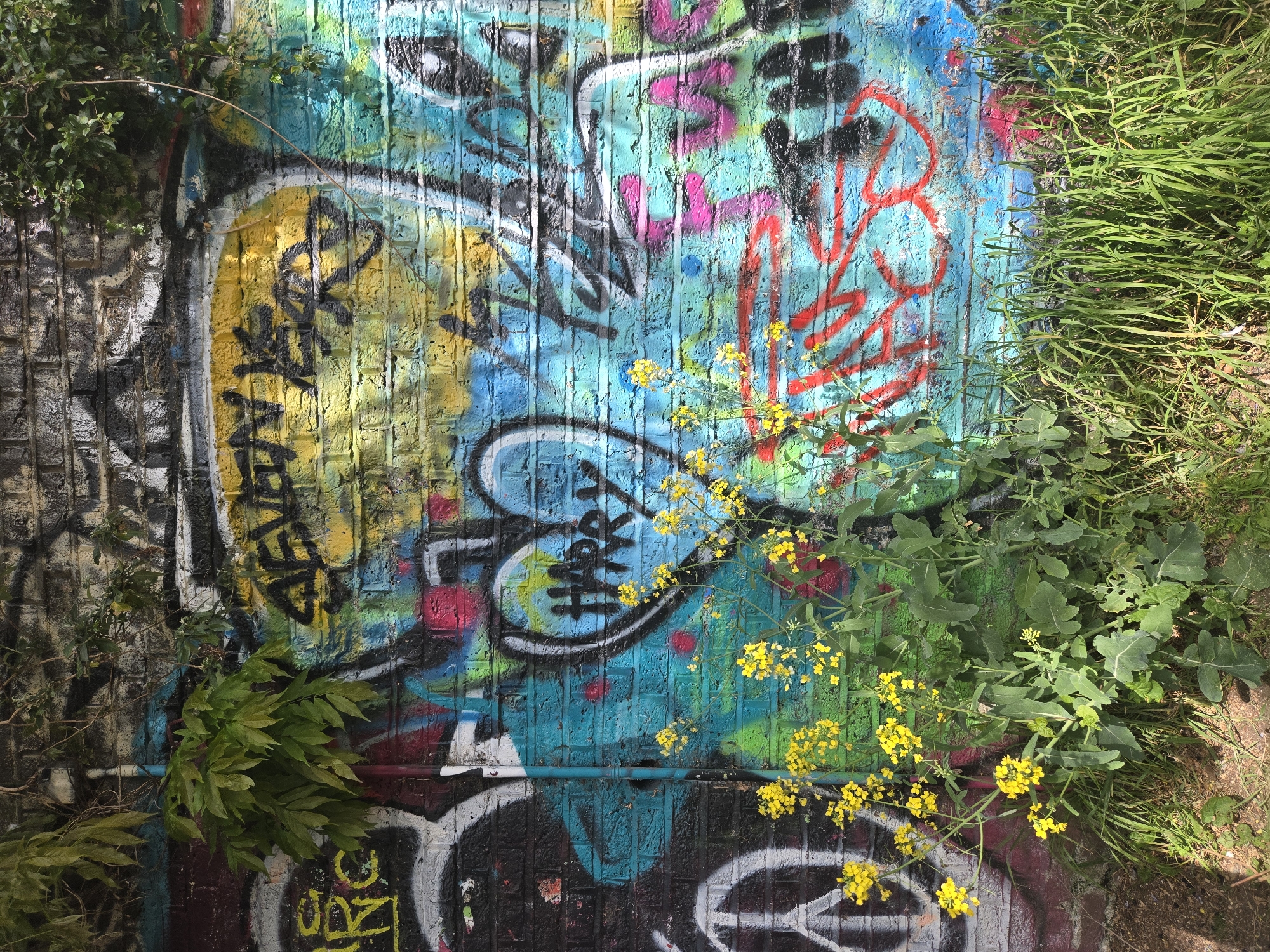 The image shows a brick wall covered in graffiti, with plants growing alongside and in front of it. The graffiti includes a variety of colors and designs, including some lettering and symbols. The plants include grasses, leafy plants, and yellow flowers. The location is likely in London, United Kingdom, based on the urban environment and style of graffiti.