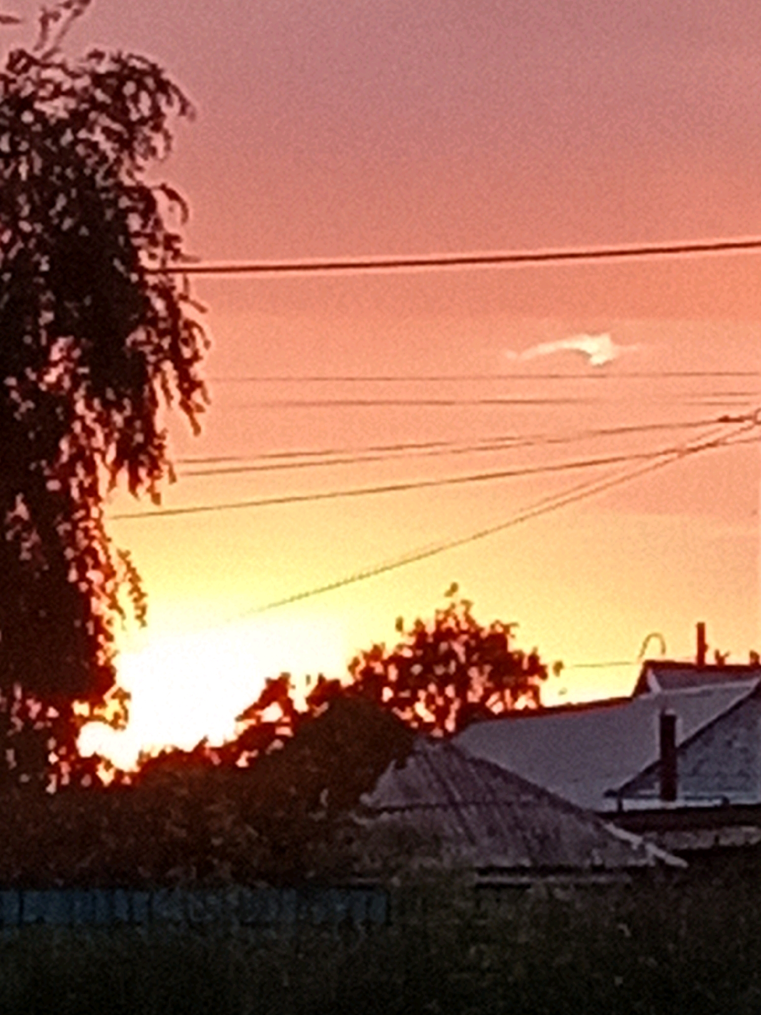 The image depicts a sunset scene over a rural area, likely the city of Rudny, Kazakhstan. Silhouetted against a vibrant orange and pink sky are the tops of trees, power lines, and the roofs of several houses. The houses appear to be simple, residential structures with dark roofs and chimneys. In the foreground, a dark, dense line of foliage runs across the bottom of the image, with a fence visible just above it. The overall impression is one of a peaceful, evening atmosphere in a semi-urban or rural setting.