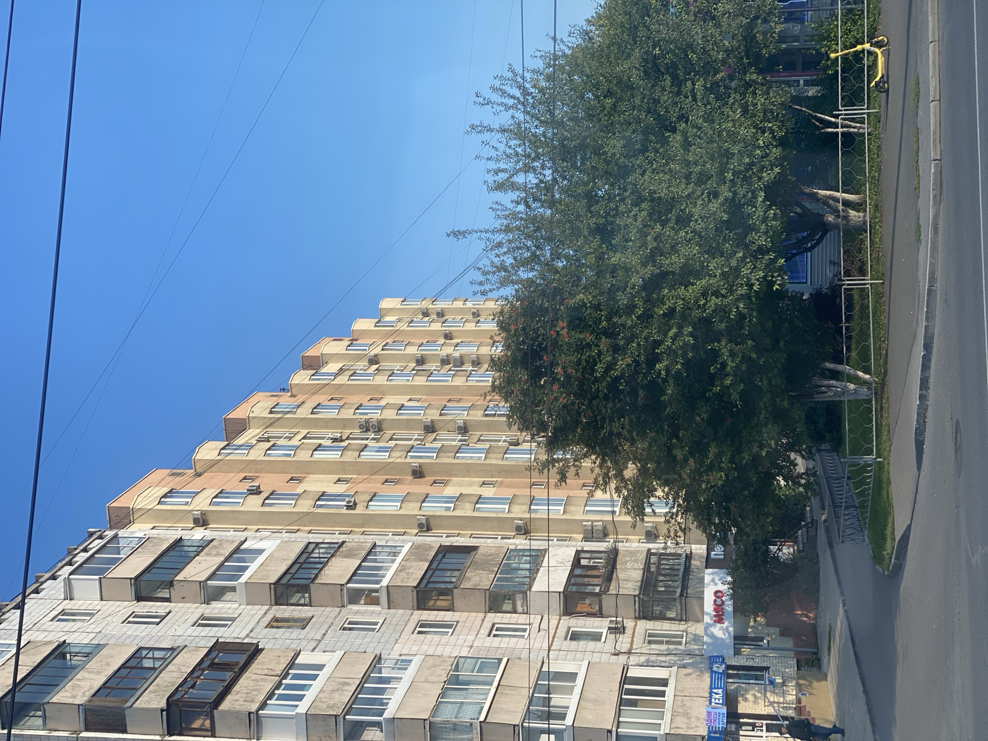In Kemerovo, Russia, a residential area is captured under a clear blue sky. The scene features two apartment buildings, one older and gray, the other newer and painted in shades of beige and yellow, with a distinct stepped facade. In the foreground, a tree-lined sidewalk runs alongside a street. The trees, laden with red berries, are in full foliage. A yellow electric scooter is parked on the sidewalk. The buildings have multiple floors with numerous windows and balconies, some enclosed. Power lines crisscross the sky above the buildings. A person is walking on the sidewalk in front of the gray building, and several signs in Cyrillic are visible on the ground floor of the buildings, including one that reads "МЯСО" (meat). A metal fence separates the sidewalk from a grassy area.