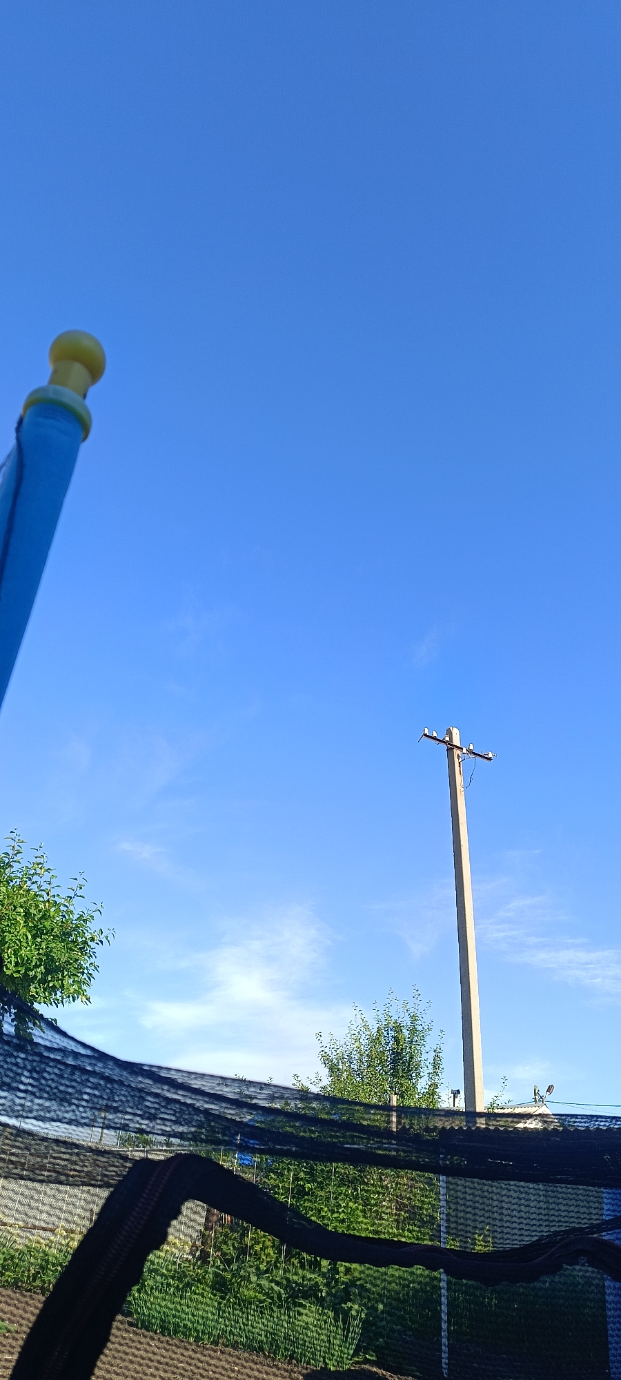 The image is an outdoor scene with a bright blue sky. In the foreground, a portion of a blue object with a yellow cap is visible on the left side, angled upwards. A black net is draped in the lower part of the frame, obscuring a view of what appears to be a garden or yard with green plants and rows of cultivated soil. In the mid-ground, a concrete utility pole stands tall against the sky. The location is specified as Khokhly, Russia. The image is taken during daylight hours.