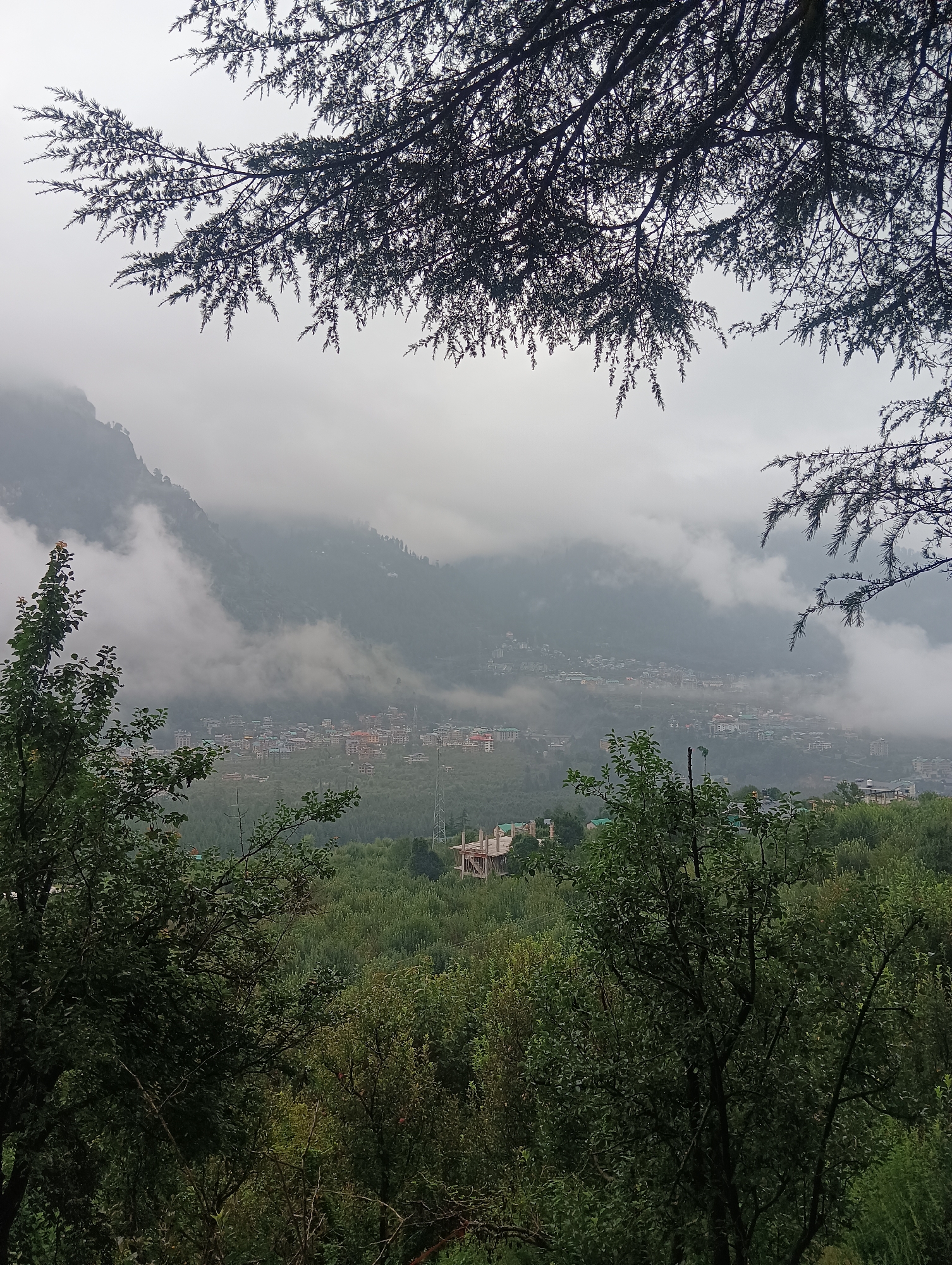 The image depicts a landscape in Chhyal, India, characterized by mist and lush greenery. In the foreground, the branches of a coniferous tree frame the upper portion of the scene, creating a silhouette against the overcast sky. Below, a dense forest covers the lower half of the frame. In the mid-ground, a town is nestled in the valley, with buildings and structures visible amidst the trees. The background features rolling hills and mountains shrouded in mist, adding a sense of depth and atmosphere to the vista. The overall impression is one of a serene and tranquil natural setting.