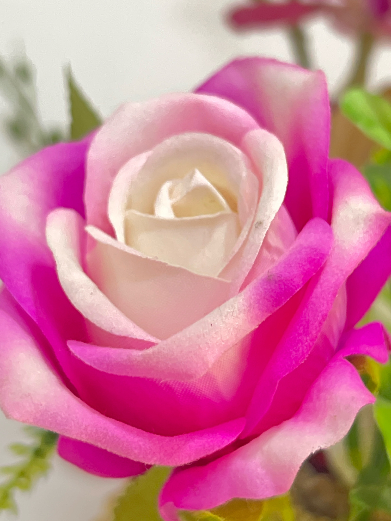 The image is a close-up, high-angle, vertical shot of a single artificial rose, predominantly pink and white. The rose is in full bloom, with its petals tightly furled towards the center, creating a layered effect. The outer petals are a vibrant fuchsia pink, transitioning to a lighter pink and then to white at the center. The surface of the petals appears to have a velvety or fabric texture, with some subtle color variations and a few dark specks on the lighter petals, suggesting they are artificial. The background is softly blurred, appearing to be a light-colored wall or surface, with out-of-focus greenery and possibly other artificial flowers visible in the upper right and lower left corners, indicating it's part of a decorative arrangement. The lighting is soft, highlighting the textures and colors of the rose. The image was captured in Denpasar, Indonesia.
