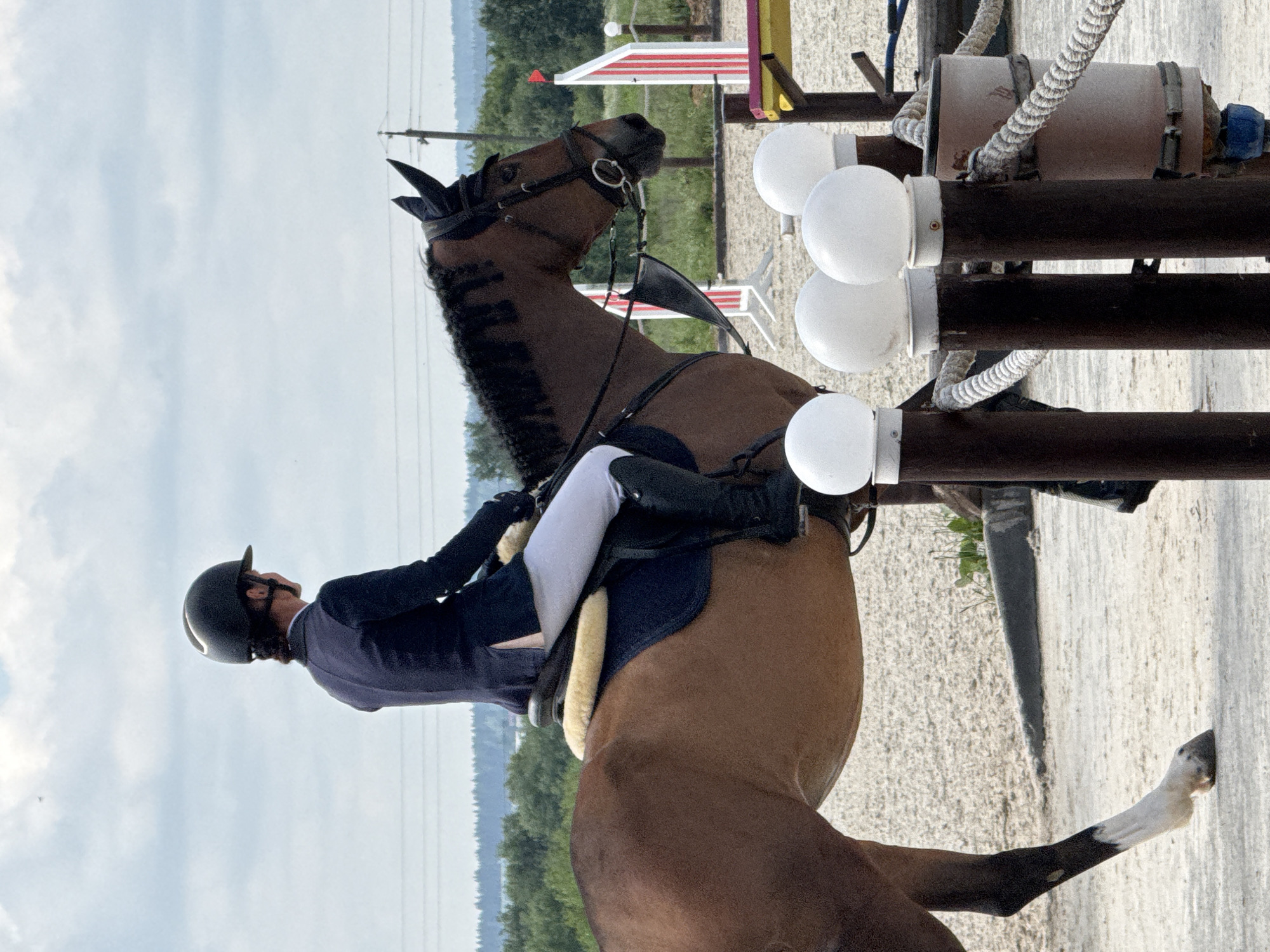 The image shows a horse and rider in an outdoor arena. The rider is wearing a dark blue jacket, white breeches, and a black helmet. The horse is a bay color with black mane and tail. The arena appears to be sand-covered. In the background, there are trees and power lines, suggesting a rural or semi-rural location. There are also some jumps and fencing visible, indicating this is likely a show jumping or equestrian event setting. The sky is cloudy. The image does not provide enough information to determine the specific location within a farm in Russia.