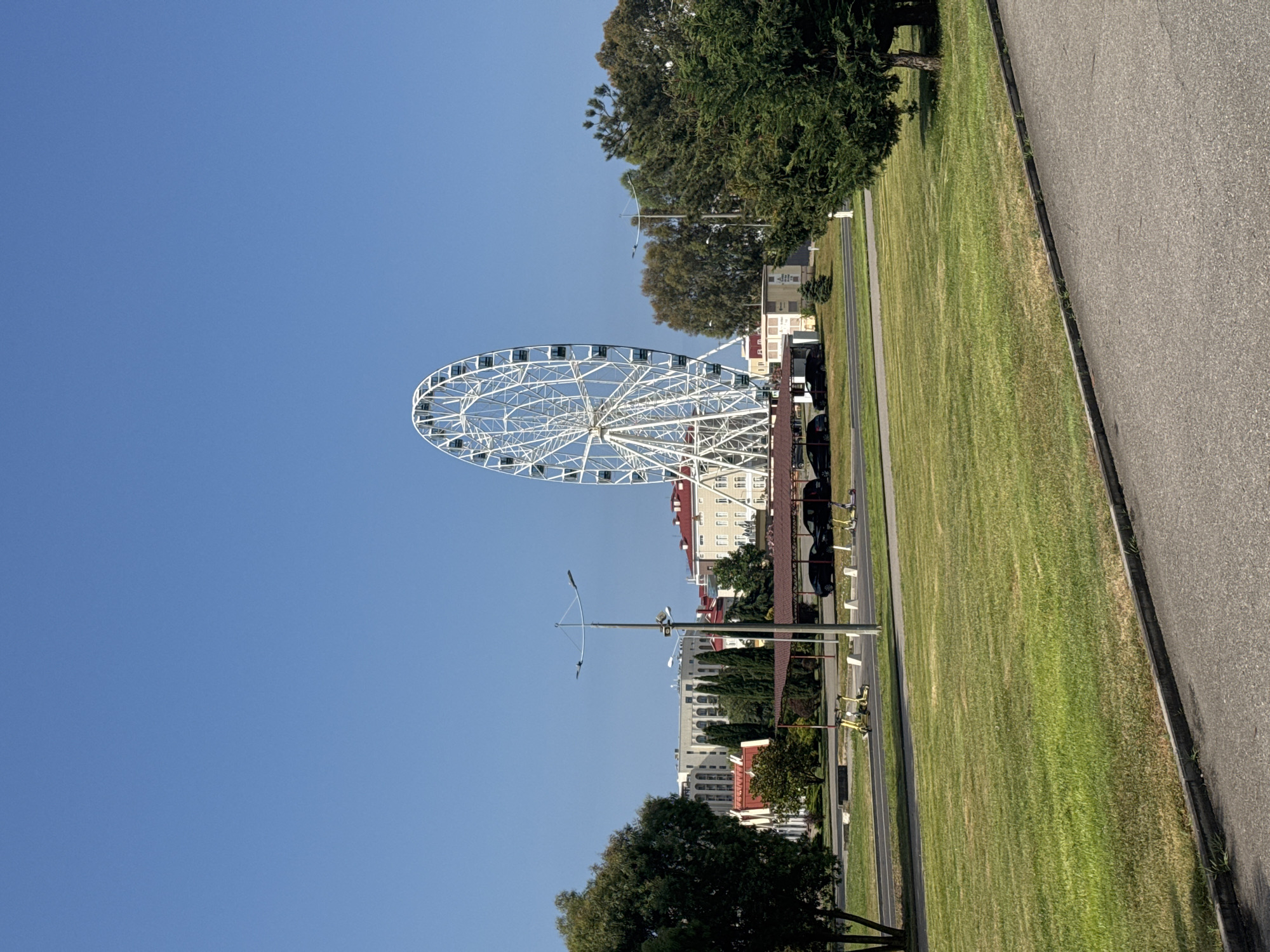 This is a full-shot, eye-level, vertical photograph of a large white Ferris wheel in Sochi, Russia, under a clear blue sky. The Ferris wheel is the dominant feature, located to the right of the center of the frame. In the middle ground, there is a row of parked cars under a covered structure, and beyond that, buildings with red and white facades, and tall evergreen trees. In the foreground, there is a manicured lawn of green grass, bordered by a paved walkway. There are no people or animals visible in the scene. The overall impression is one of a bright, sunny day in a developed, recreational area.
