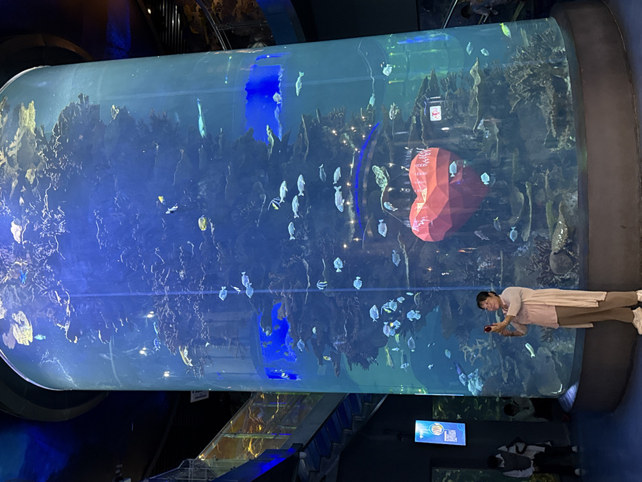 The image depicts the interior of an aquarium facility located in Shinan District, China. A massive, tall cylindrical tank, internally illuminated with a blue light, dominates the scene. The tank houses numerous marine fish of varying species and sizes, swimming among extensive artificial coral and rock formations. A large, geometric red heart-shaped object, partially inscribed with the text "Happy," is submerged in the lower section of the tank. In the foreground, a woman stands facing the tank, wearing a beige cardigan, a light pink top, and khaki pants, holding a red smartphone up to capture the scene. To the left, a glass-railed staircase ascends into the background, adjacent to a vertical digital display board showing an image of a fish. Other indistinct figures of patrons are visible in the dimly lit background.