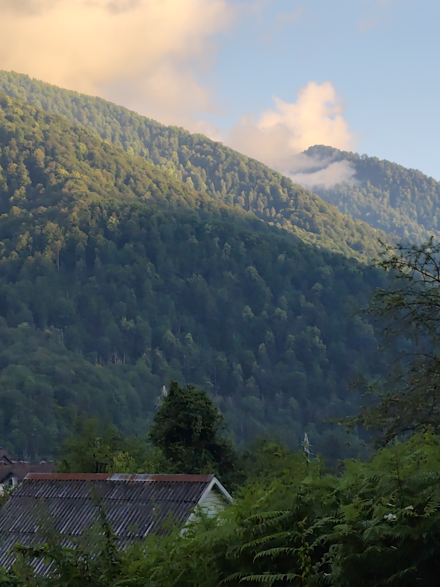 This image captures a serene mountain landscape at dusk in Krasnaya Polyana, Russia. The foreground is dominated by the corrugated roof of a rustic dwelling, partially obscured by lush green foliage and ferns. In the middle ground, a dense forest blankets the lower slopes of a majestic mountain. The mountain rises steeply into the background, its upper reaches shrouded in a soft mist that hints at higher altitudes and perhaps recent rain.
The sky above is a canvas of soft pastels. The setting sun casts a warm, golden glow on the clouds, illuminating them with hues of orange and yellow, while patches of clear blue sky are also visible. This interplay of light suggests the transition from day to evening, creating a tranquil and contemplative atmosphere. The overall scene is one of natural beauty and peaceful solitude, characteristic of a mountain village or rural area. There are no people or explicit activities depicted, allowing the viewer to focus on the grandeur of the natural surroundings and the subtle beauty of the light.