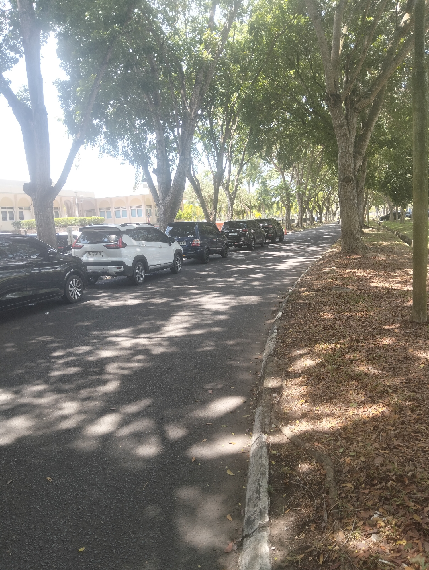 This image depicts a street lined with trees in Tambontunong, Indonesia. Several cars are parked along the roadside, including a white SUV, a black SUV, and other vehicles partially visible. The street is paved, with a concrete curb and a grassy area with fallen leaves to the right. Sunlight filters through the dense tree canopy, casting shadows on the pavement. In the background, a building with several windows is visible, partially obscured by trees. There are no people clearly visible in the image.