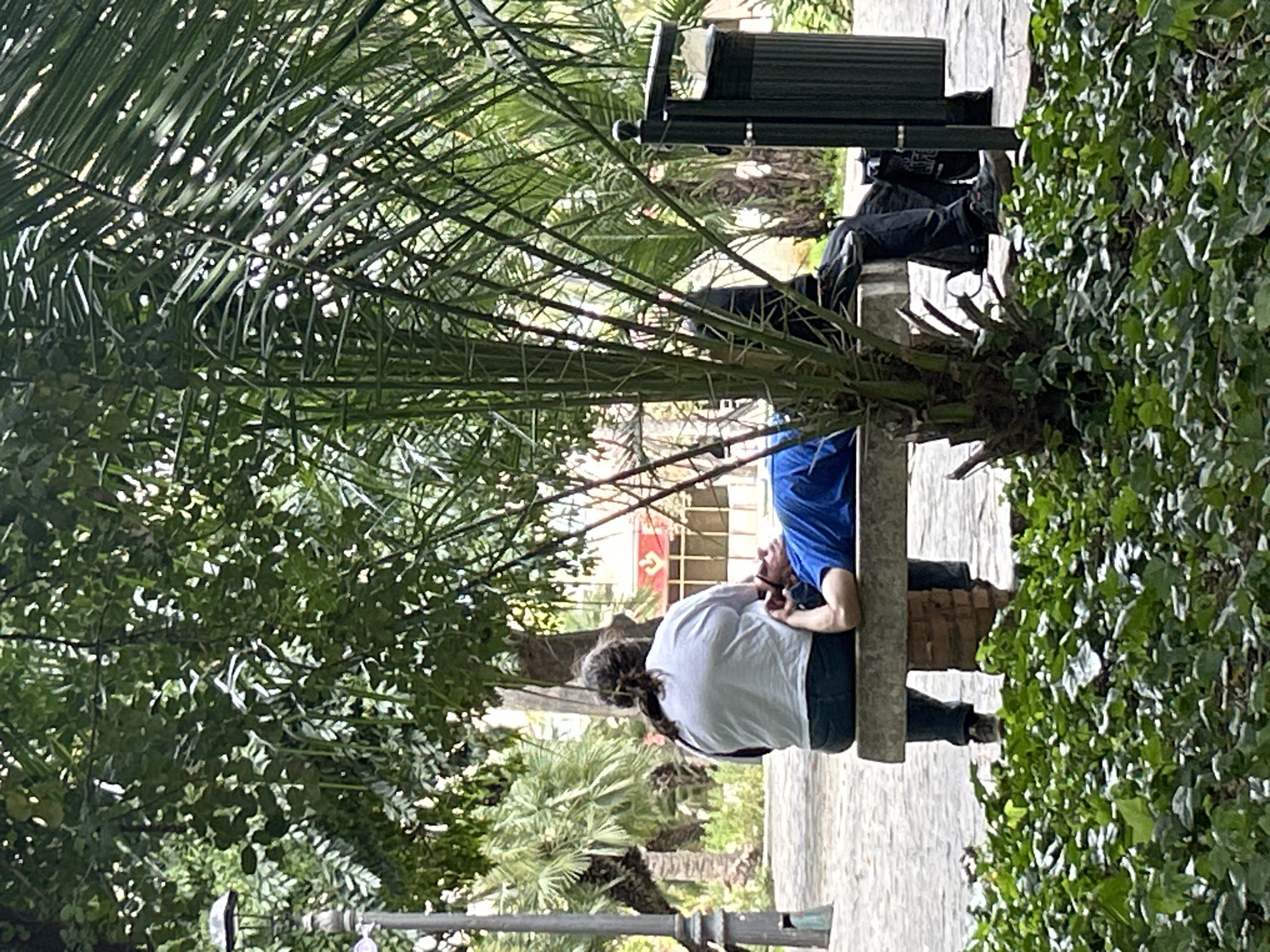 Two people are sitting on a park bench in Málaga, Spain, obscured by the branches of palm trees. One person is wearing a white shirt and the other a blue shirt. The bench is made of concrete with a brick-looking support. The area around the bench is paved with grey stones. There is a black trash can near the bench. There is lush green foliage to the right of the bench. In the background, partially visible through the trees, there is a building with a red banner and a visible star. A streetlight fixture is in the foreground on the left.