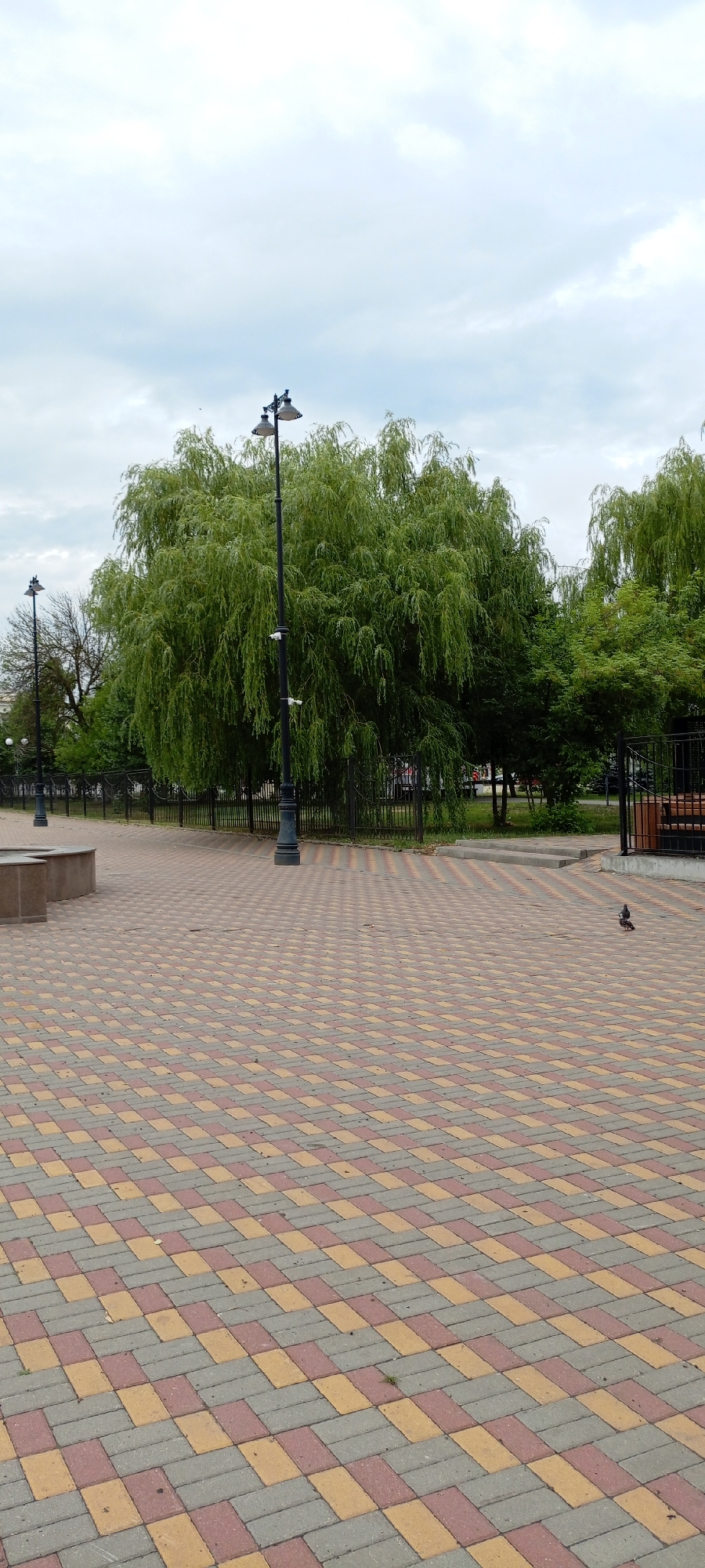 The image depicts a park pathway in the city of Kirsanov, Russia. The pathway is paved with interlocking bricks in a pattern of red, yellow, and gray. Two ornate lampposts with multiple lights are visible along the path. A large weeping willow tree dominates the center of the frame, with other trees and a black metal fence in the background. To the right, a section of a black metal fence encloses a seating area with a bench. A single pigeon stands on the brick pathway in the foreground. The sky is overcast with light gray clouds.