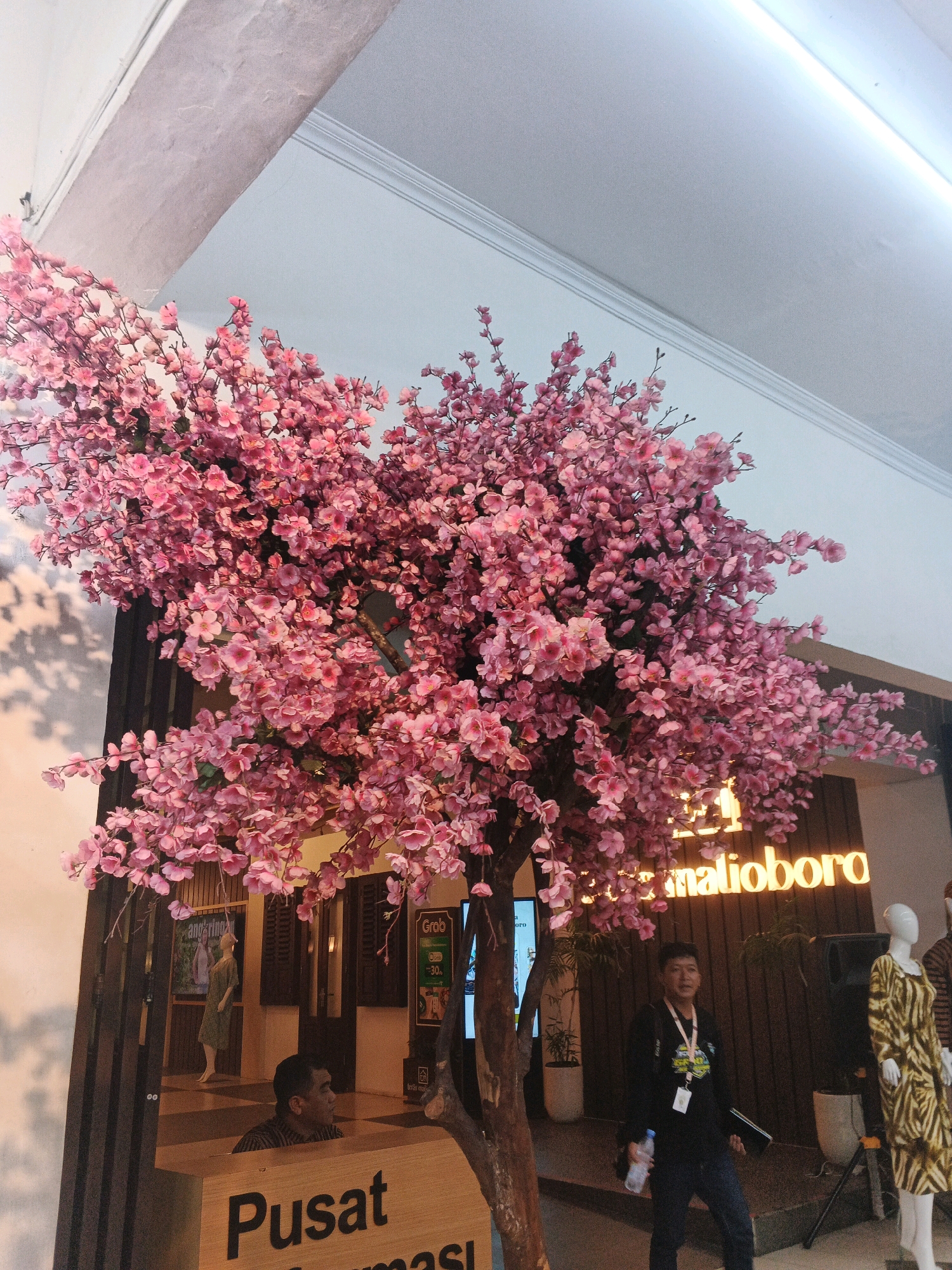 The image depicts an indoor scene featuring a large artificial cherry blossom tree with vibrant pink flowers. The tree is centrally located, with its branches extending upwards and to the right. In the background, there is signage that reads "malioboro" in large, illuminated letters. To the left of the tree, a man wearing a striped shirt is partially visible behind a wooden counter with text that appears to read "Pusat". Further to the left, a mannequin dressed in a light green dress stands behind glass. To the right of the tree, a man in a black shirt and jeans is holding a bottle of water and a laptop or folder. Next to him, two mannequins are displayed, one wearing a yellow and brown patterned dress. The environment appears to be a commercial space, possibly a shop or mall, with a light-colored ceiling and architectural details. Given the "Malioboro" signage, the location is likely within the Malioboro area of Yogyakarta, Indonesia, which is a famous street known for its shopping and cultural attractions.