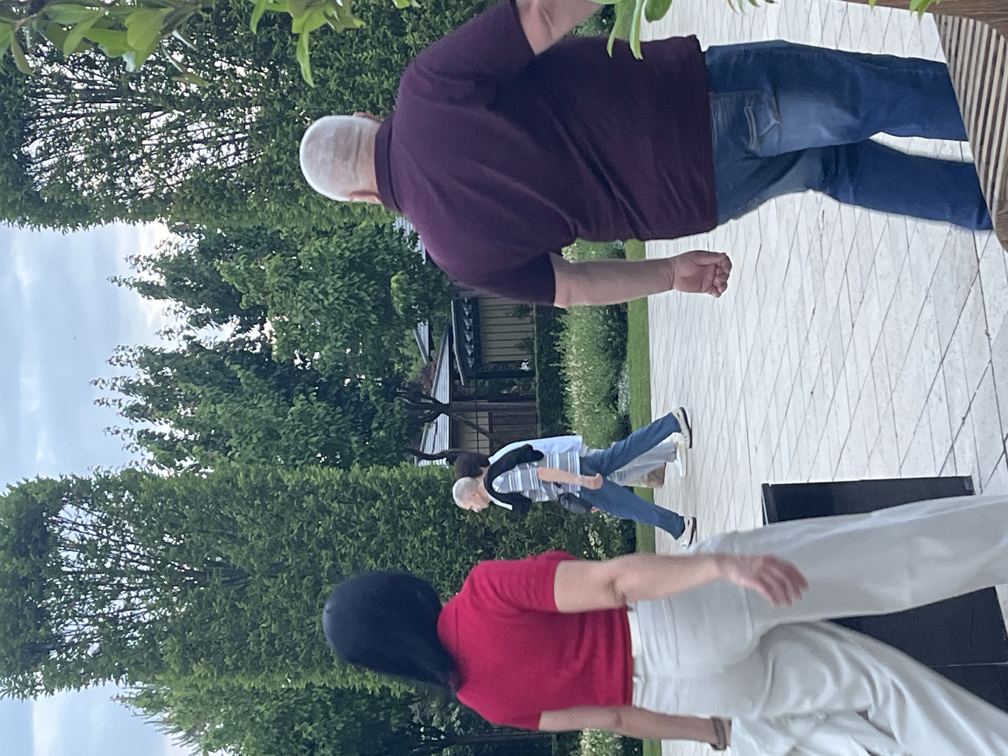The image displays an outdoor scene, likely a park or garden, where three individuals are seen strolling on a paved pathway. Although the image is presented vertically, the scene depicts people walking horizontally on what appears to be a light-colored tiled ground.
In the foreground, a person with short, light-colored hair is visible from behind, wearing a dark purple short-sleeved polo shirt and blue jeans. This individual is walking towards the right side of the frame on the diagonally patterned pavement.
Slightly to their left and further back, another person with dark hair is seen from behind, dressed in a red short-sleeved shirt and light-colored trousers. A dark, rectangular object, possibly a bench or low table, is partially visible near this individual.
In the mid-ground, a third person with short, light-colored hair is walking in the same general direction. This individual is wearing a striped short-sleeved shirt (blue and white or grey and white), blue jeans, and light-colored sneakers, with a dark jacket draped over their shoulder.
The setting is characterized by abundant, lush green trees and bushes that frame the scene and form a dense background. Parts of dark structures, possibly gazebos or small buildings, are visible amidst the distant foliage. A light grey, likely overcast sky, peeks through the tree canopies, indicating a daytime setting. The overall atmosphere is calm and leisurely. No text is visible in the image. The scene suggests a pleasant outdoor walk in Krasnodar, Russia.