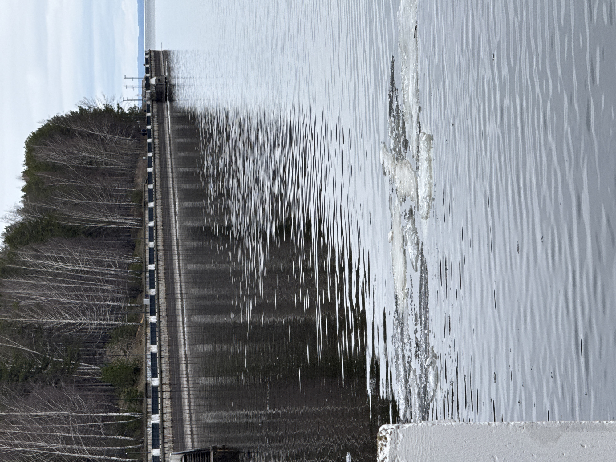 This image depicts a waterfront scene in Chaikovsky, Russia. A tree-lined embankment runs along the edge of the water, with a pathway and structural wall separating the trees from the water. The water's surface is rippled, creating reflections. Icy formations or structures are near the edge of the photo. The weather appears overcast.