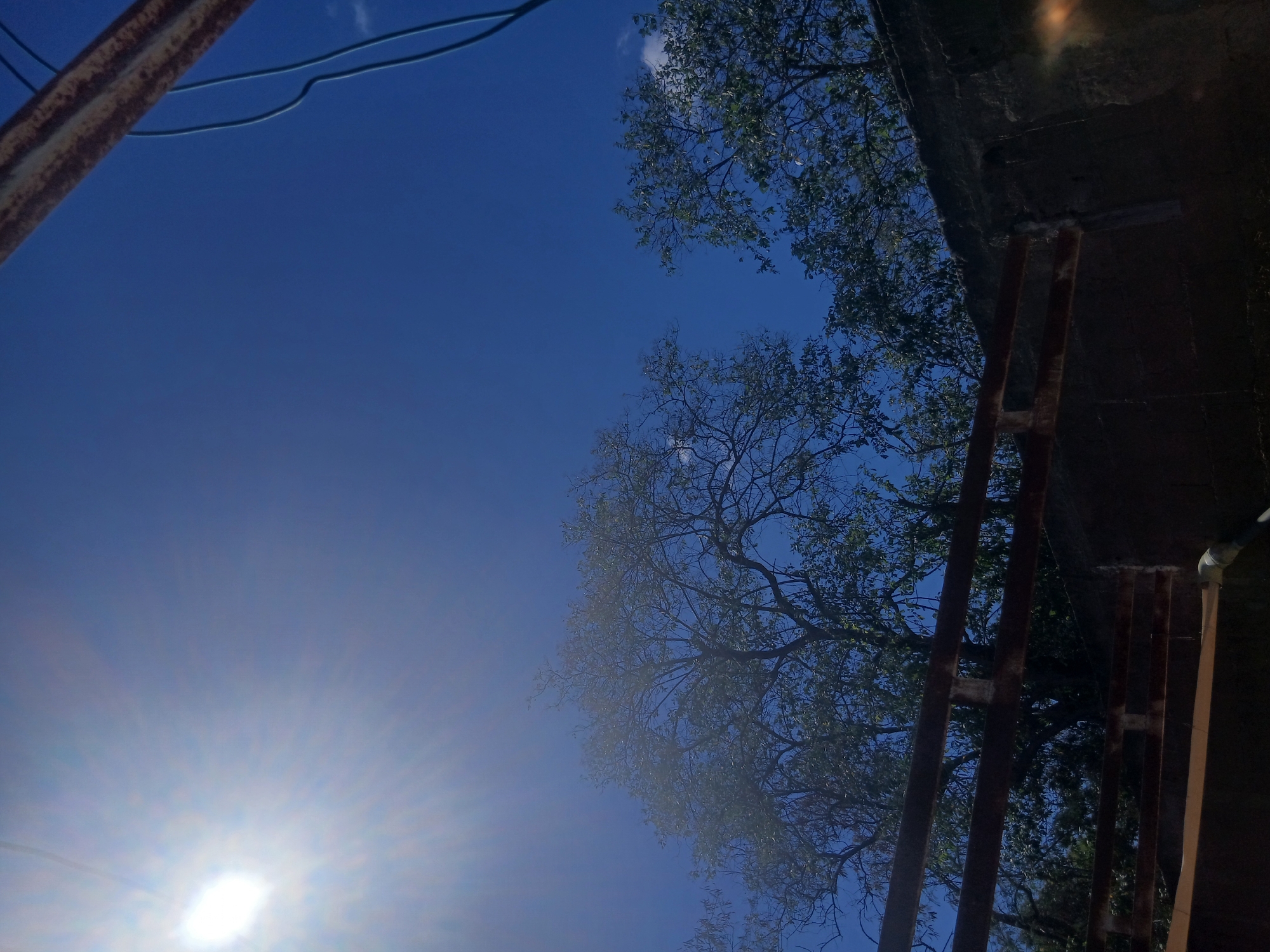 The image, likely taken in Juan Griego, Venezuela, appears to be shot from a low angle, perhaps from the ground looking upward. The scene is dominated by a bright blue sky, with the sun visible at the bottom left, causing a strong glare. Trees with bare branches and some foliage are present, framing the sky. There's a rusty metal structure on the right side and top left corner, possibly part of a building or fence. A section of a dark, potentially concrete, wall is visible in the top right corner, further suggesting an urban setting. Electrical wires are seen in the top left corner. The overall impression is of a sunny day in an area with both nature and urban elements.