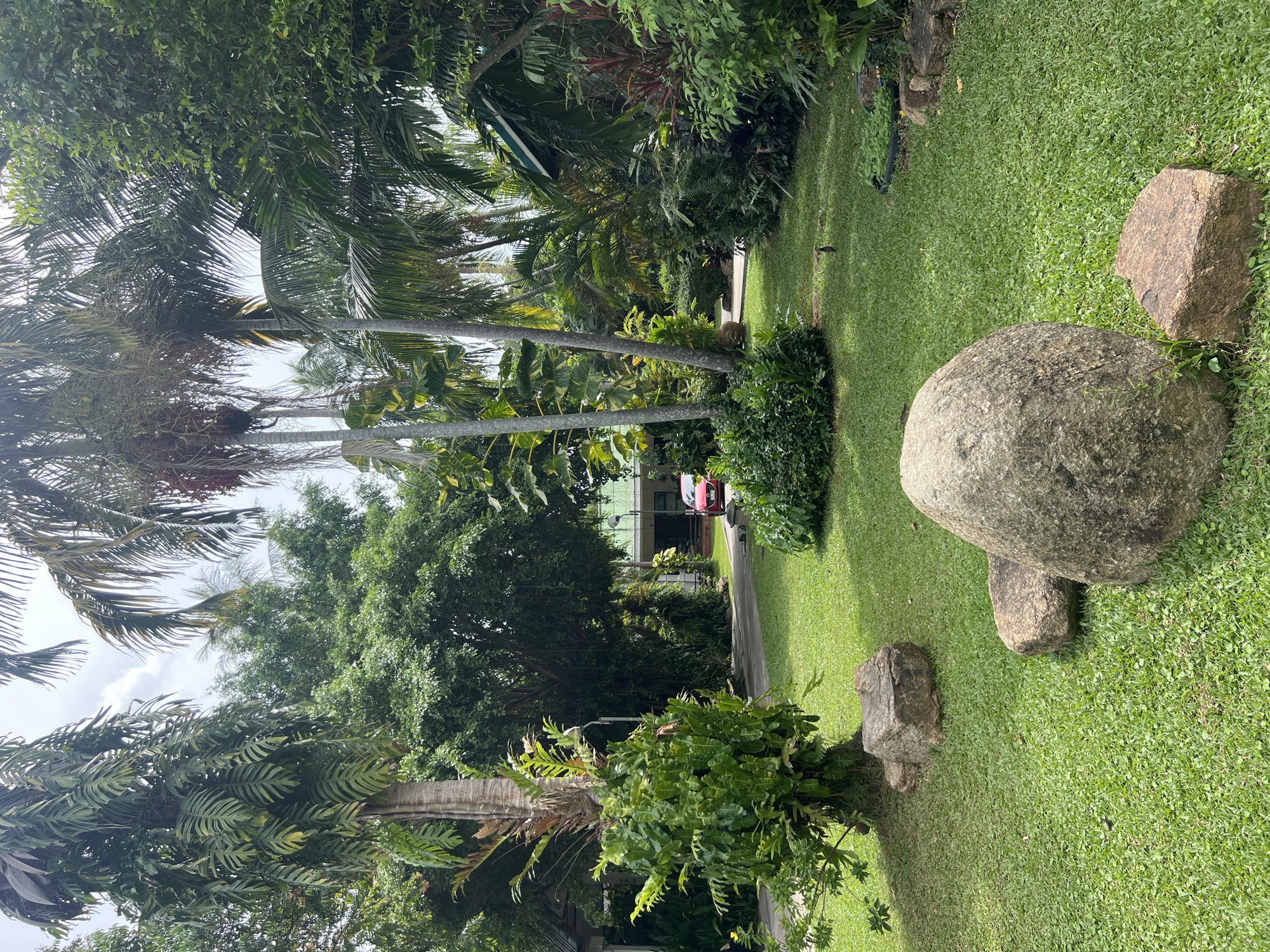 The image depicts a lush, tropical garden setting in Baan Bo Phut, Thailand. The scene is dominated by dense greenery, including several palm trees with their fronds reaching towards a bright, overcast sky. The ground is covered with a neatly manicured, vibrant green lawn.
Several large, weathered rocks are strategically placed on the lawn, adding a natural, earthy element to the landscape. One particularly large, round boulder sits prominently in the foreground, with smaller rocks nearby.
In the mid-ground, a paved pathway winds through the garden, leading towards a building in the background. A bright red car is visible parked near the building, suggesting the presence of inhabitants or visitors. The building itself appears to be a residential or hospitality structure with a light-colored facade and a green-tiled roof.
The overall atmosphere is serene and tranquil, indicative of a peaceful, tropical environment. The lighting suggests it is daytime, likely mid-morning or afternoon, given the diffuse light and lack of harsh shadows. There is no visible text in the image.
