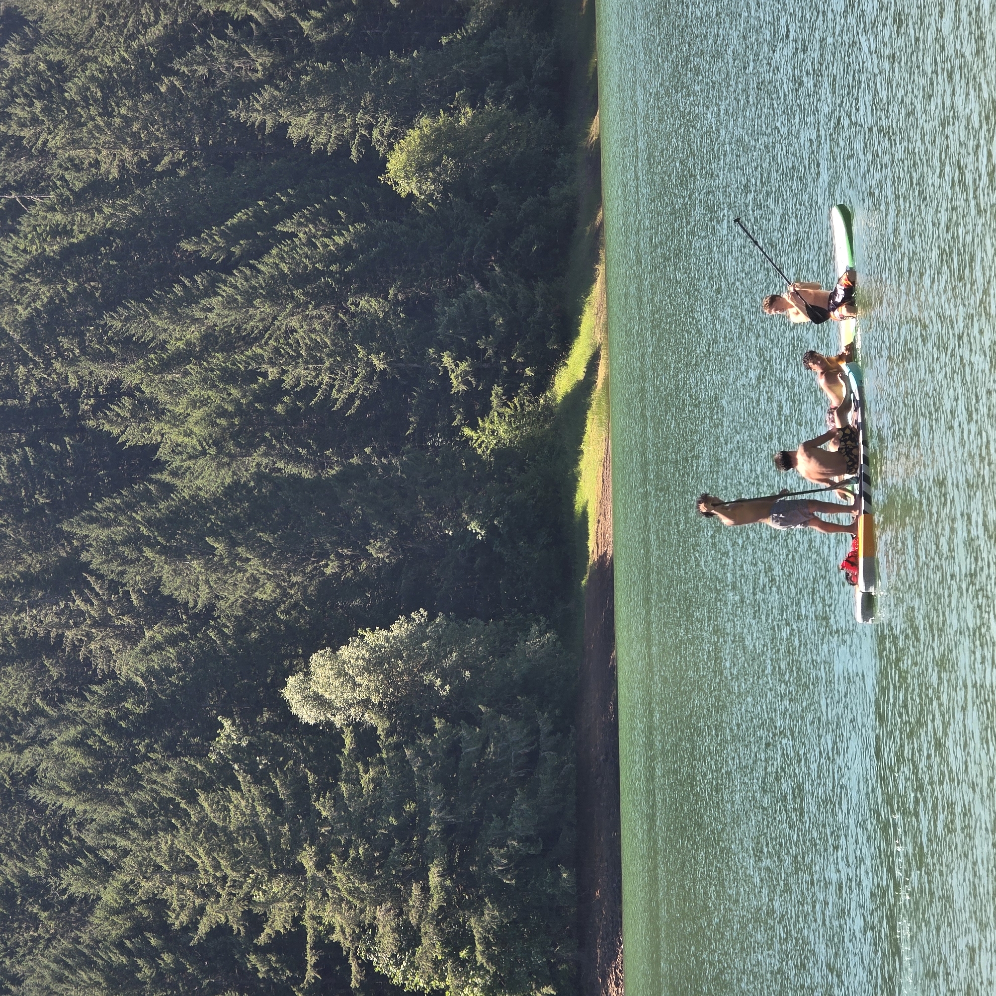 Four individuals are paddleboarding on a calm, green body of water. The background consists of a dense forest of evergreen trees, with a shoreline visible at the base of the trees. The individuals are spread across two paddleboards. One paddleboard has three people: one standing, one sitting, and one lying down. The second paddleboard has one person sitting and holding a paddle. The person standing on the first paddleboard is wearing grey shorts and is holding a paddle. The person sitting on the first paddleboard is wearing patterned shorts. The person lying down on the first paddleboard is wearing red and white patterned shorts. The person on the second paddleboard is wearing patterned shorts and is holding a paddle. A red life vest is visible on the front of the first paddleboard. The sky is not visible. The image appears to be taken during daylight hours. The location is identified as Cherry Grove, United States.