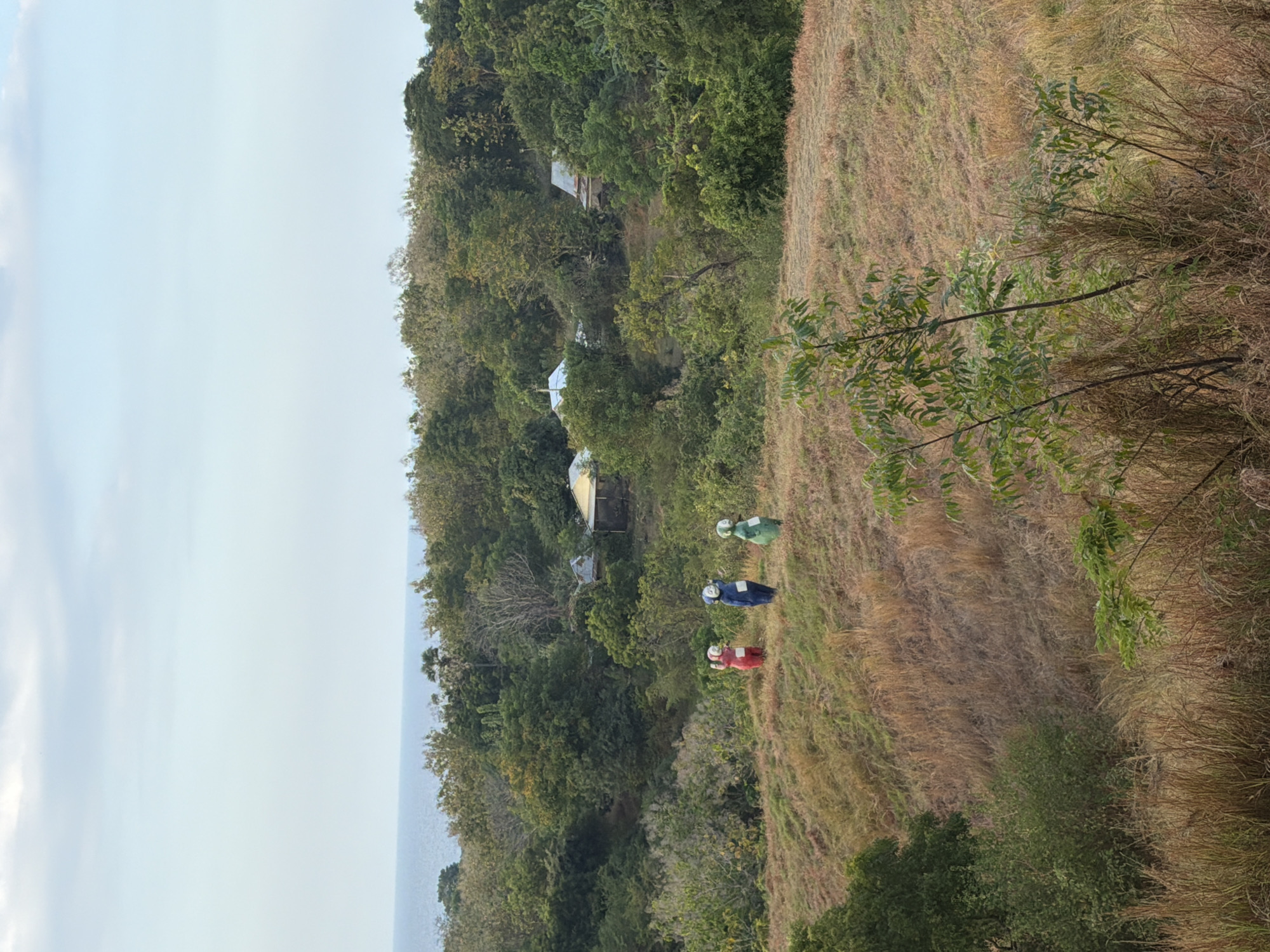 The image shows a landscape in Kubutambahan, Indonesia, with rolling hills covered in dry grass and scattered trees. Three figures, resembling costumed characters, stand on the hillside. The figure on the left wears a red costume, the middle figure wears a blue costume, and the figure on the right wears a green costume. They all appear to be facing left. In the background, there are more trees and several small buildings with corrugated roofs. The ocean is visible in the distance under a hazy sky.