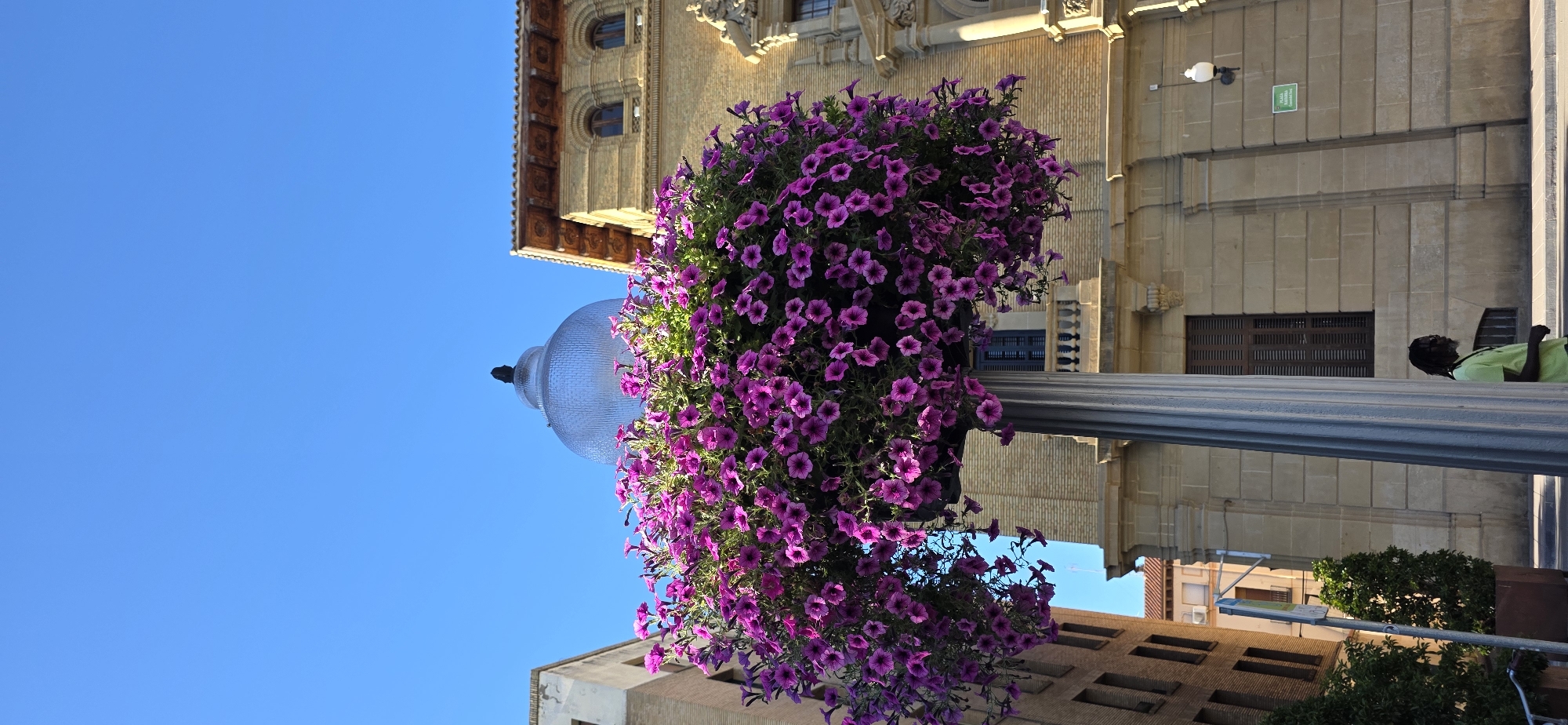 The image depicts a street scene in Huesca, Spain, featuring a prominent lamppost adorned with a profusion of vibrant purple petunias. The lamppost itself is topped with a large, reflective, dome-like structure, possibly a light fixture or decorative element. In the background, traditional Spanish architecture is visible, with buildings constructed of light-colored stone and brick, featuring arched windows and ornate detailing. One building on the right displays a wooden-shingled roof. The sky is a clear, bright blue. A person with dark, curly hair and wearing a light green shirt is partially visible in the lower right of the frame, walking past the lamppost. The scene is bathed in sunlight, suggesting daytime.