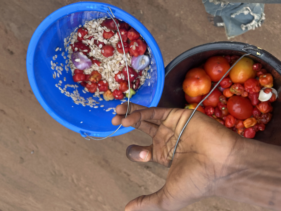 Two buckets filled with food sit next to each other. The left bucket is blue and contains small white seeds, red peppers, and sliced onions. The right bucket is black and holds tomatoes and small red peppers. A dark-skinned hand reaches towards the buckets, seemingly holding the handle of one. The ground is visible in the background.