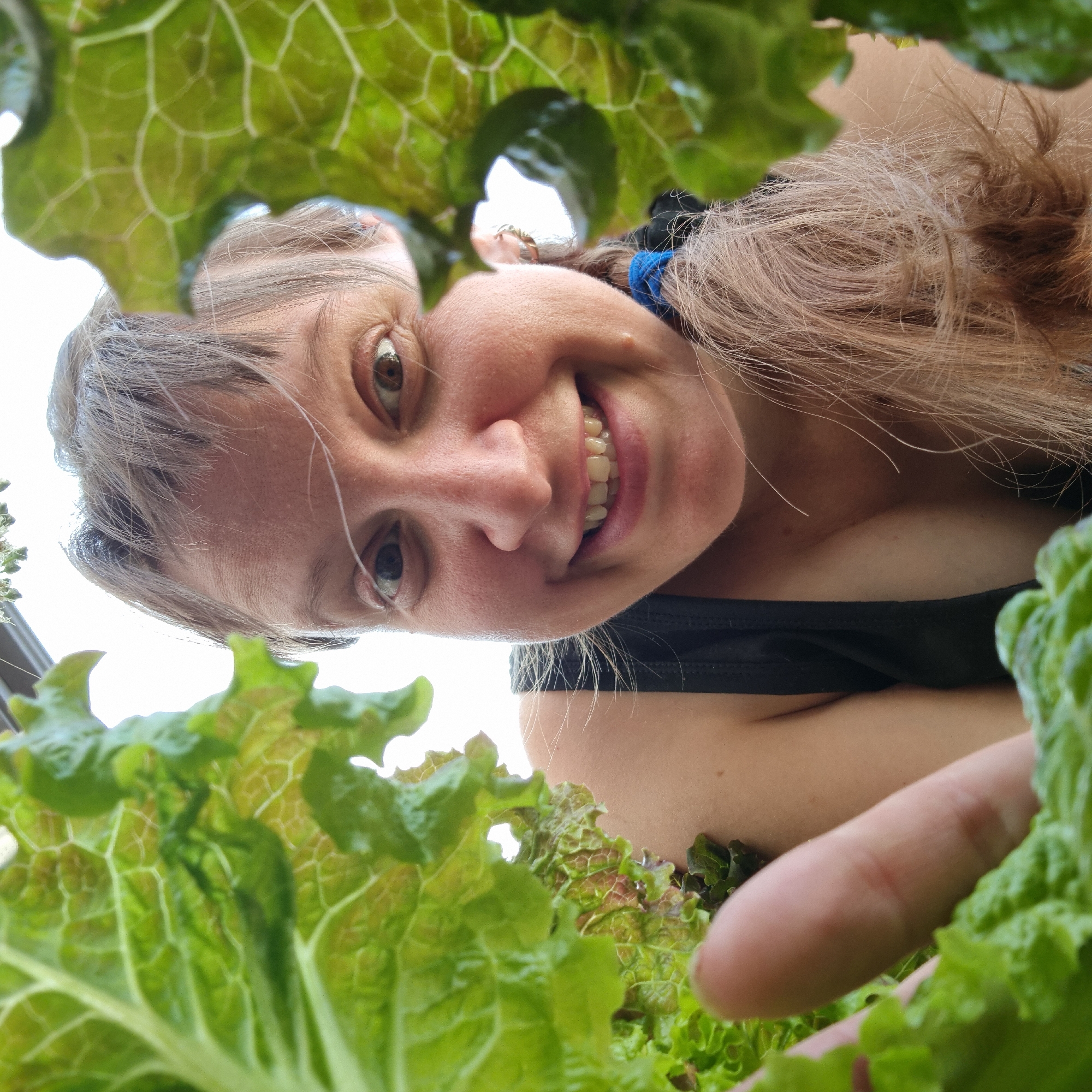A low-angle, close-up shot captures a woman's face peeking through lettuce leaves, suggesting an outdoor setting, possibly a garden. The woman, with light brown hair pulled back in a ponytail secured by a blue elastic, looks directly at the camera with wide, brown eyes and a broad smile, revealing her teeth. Her skin appears fair, with some fine lines visible around her eyes and on her forehead. She is wearing a dark, possibly black, tank top. A hand with short, light fingernails is visible in the foreground, extending from the left side of the frame, interacting with the lettuce. The lettuce leaves are vibrant green with reddish-brown edges, some slightly wilted, and their veins are clearly visible, creating a natural frame around the woman's face. The background is largely out of focus, appearing as a bright, blown-out sky, indicating the photo was taken during daylight hours, possibly outdoors. There are no discernible elements that place this image specifically in Dunnae-myeon, South Korea; the environment appears generic.