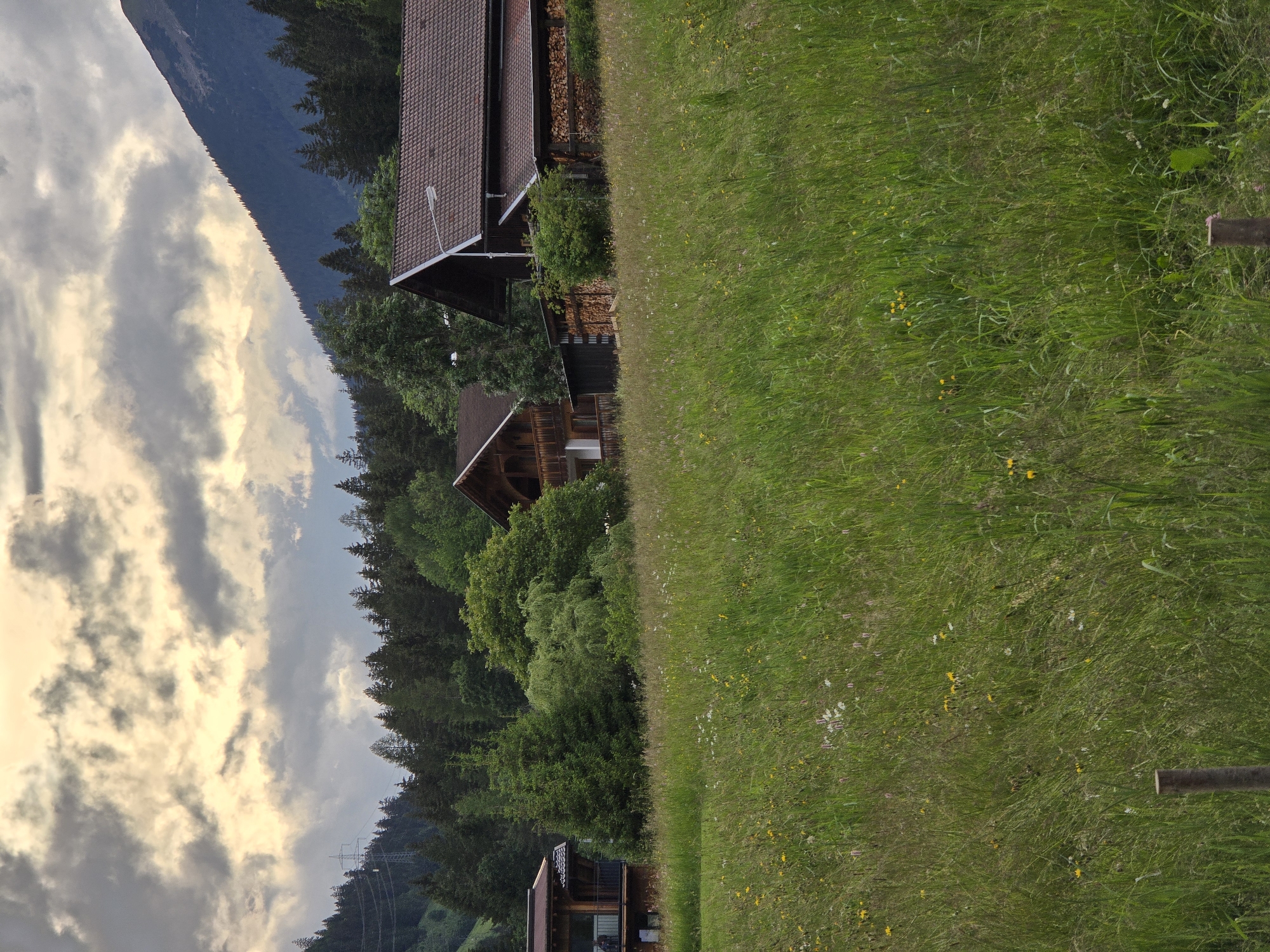 The image depicts a rural scene in Lermoos, Austria, under a dramatic cloudy sky. In the foreground, a lush meadow is filled with tall green grass and scattered wildflowers, with a wooden fence post visible on the left. Behind the meadow, several traditional Austrian wooden houses are nestled amongst trees. One house on the right has a brown tiled roof and a visible stack of firewood. Another house to the left, also made of wood, features balconies. A dense forest of evergreen trees covers the middle ground, leading up to a steep, dark mountain slope on the right, which is partially shrouded in clouds. A power line tower is visible on the left side of the image, indicating the presence of infrastructure within the otherwise natural landscape. The overall impression is one of a tranquil, alpine setting, likely captured during late afternoon or early evening given the lighting conditions.