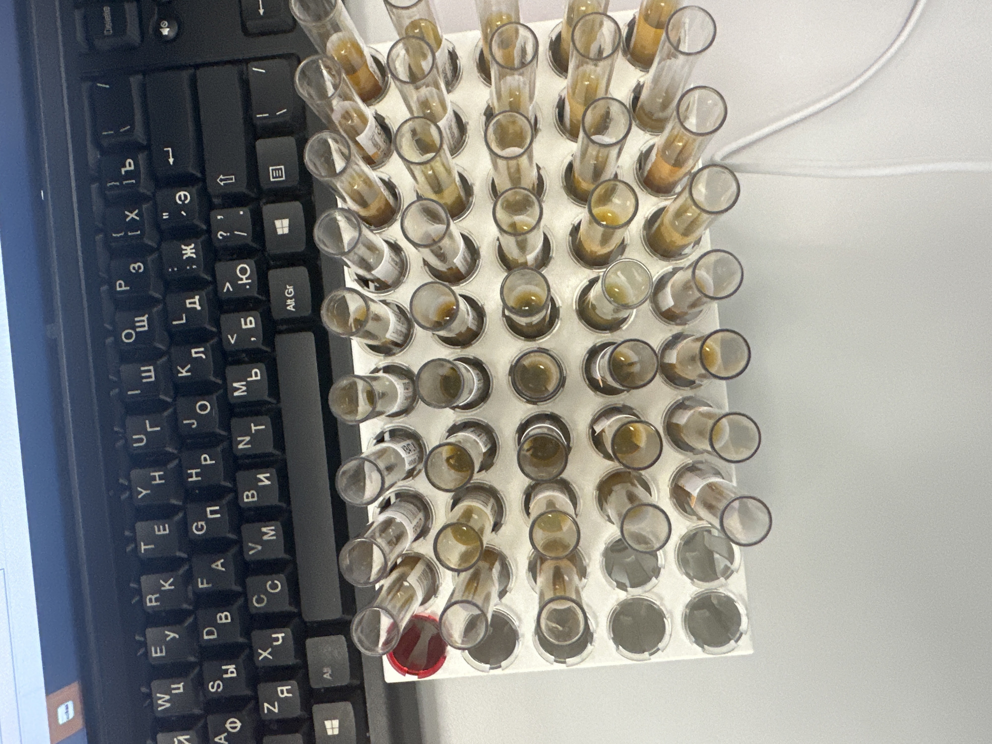 The image shows a black keyboard, likely a computer keyboard, with Cyrillic characters on the keys. Next to the keyboard, there's a white plastic rack filled with numerous transparent test tubes. Most of the test tubes contain a brownish-yellow liquid or substance. One test tube in the lower left corner of the rack is sealed with a red cap. A white cord is visible to the right of the rack. The background is a light-colored surface, possibly a desk or table. The presence of Cyrillic script on the keyboard suggests a location where the Russian language is used, possibly in Russia. The picture lacks distinctive landmarks, architecture, or street signs, so it cannot be confirmed to be taken in Moscow.