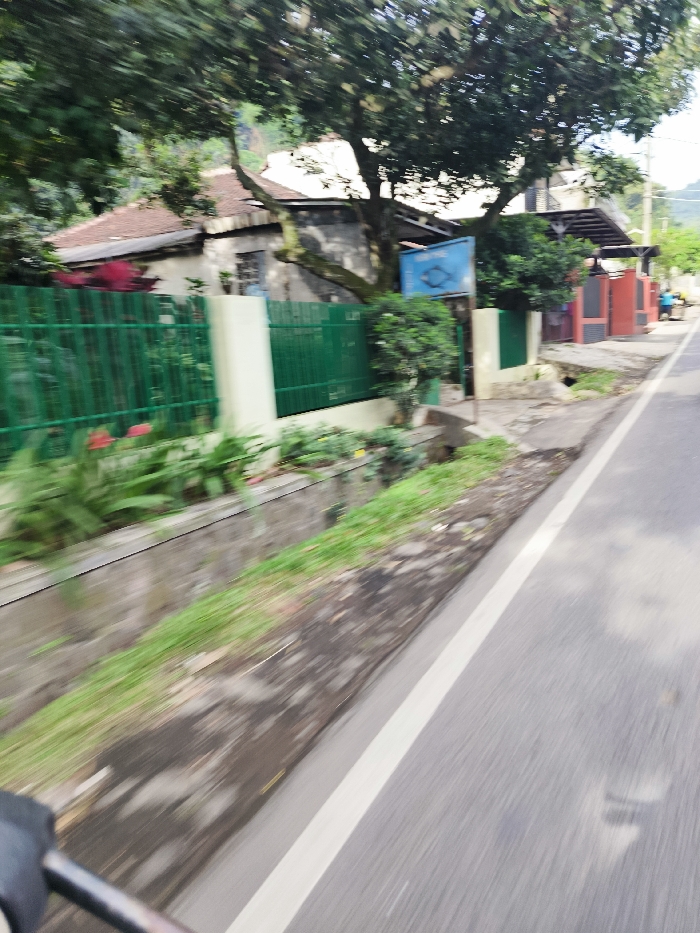 The image shows a street in Soreang, Indonesia, taken from a moving vehicle. The view is from the driver's perspective and the image is blurred. The road has a white dividing line in the center. On the right side of the road is a green fence, beyond which is a house and a tree. The house has a red roof and a green fence in front of it. The tree appears to be a large tropical tree with thick leaves. There are small, green plants growing on the shoulder of the road.  A blue sign is visible on a wooden post behind the tree.  The image appears to be taken in the early afternoon.