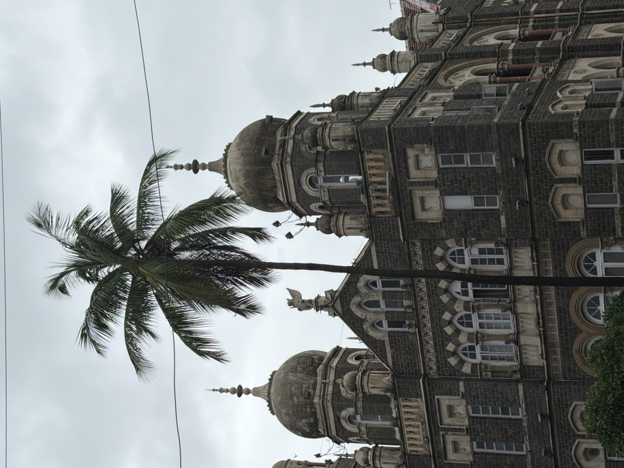 The image captures a section of the Victoria Terminus (now Chhatrapati Shivaji Maharaj Terminus) in Mumbai, India, under an overcast sky. A tall palm tree, its fronds reaching towards the sky, stands prominently in front of a large, ornate stone building. The building features a dark, rough-hewn stone facade, multiple arched windows with white frames, and several domed structures topped with spires. A winged statue is visible on one of the building's upper levels. The overall scene suggests a historic architectural style, likely a remnant of the colonial era, set against a backdrop of muted, cloudy weather. There are no people or obvious human activity depicted in the frame.