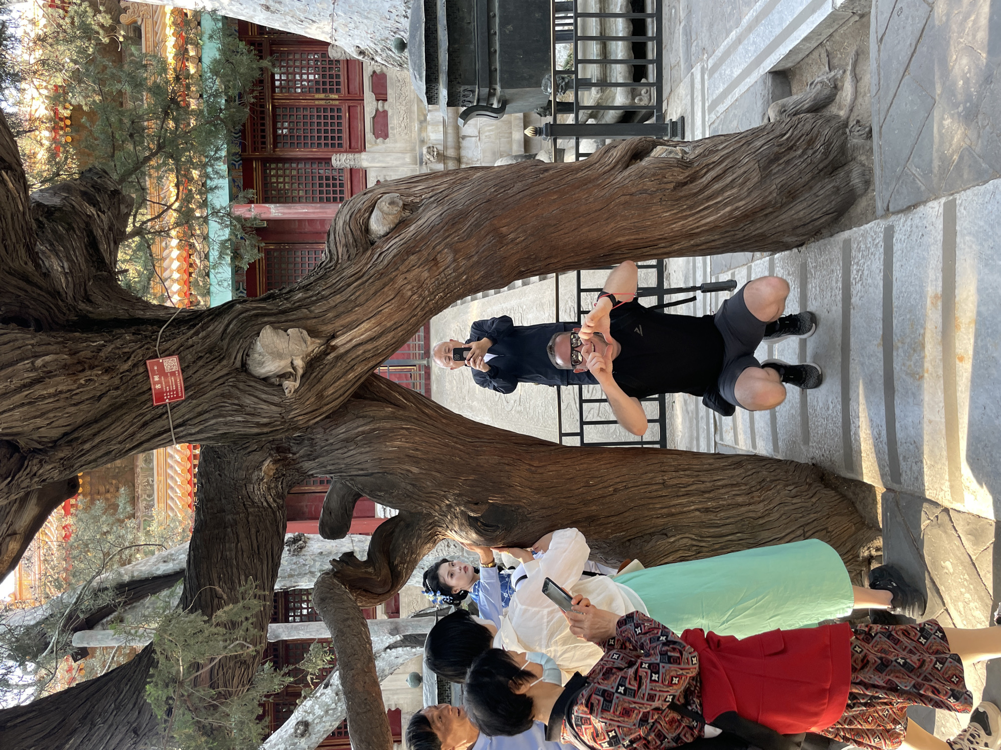 The photograph captures a group of people gathered around a large, weathered tree in what appears to be a tourist destination. The location is the city of Dongcheng District, China. The tree’s thick, gnarled branches extend horizontally across the frame. Several individuals are looking at or interacting with the tree. One woman, dressed in a light-colored traditional Chinese dress, is touching the tree trunk while looking up. Another person in a red jacket is standing nearby, with the rest of the group wearing a combination of modern and traditional attire. An additional man is positioned behind the tree, framing himself with his hands in the foreground, while another man behind him is holding up a smartphone. The area surrounding the tree is paved with stone slabs. The background contains architectural elements, including red-framed windows and decorative details, suggesting an imperial or historic setting.