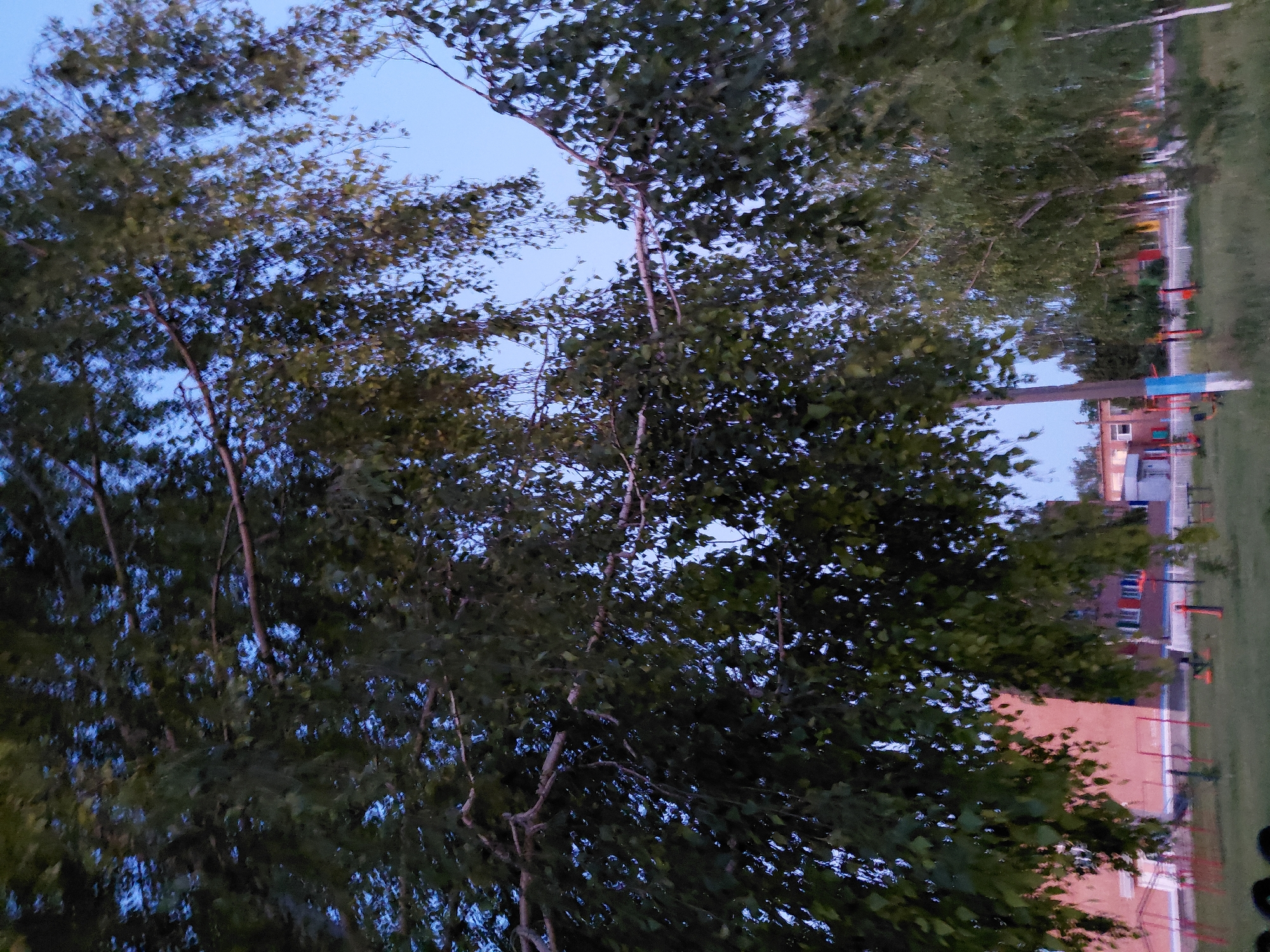 The image depicts an outdoor scene during twilight or early evening, featuring a prominent tree with dense foliage in the foreground, its branches reaching across the frame. The sky is a clear, light blue, suggesting a clear weather day. In the background, a low-rise building, likely a school or residential complex, is visible. The building is made of brick and has several windows. The area in front of the building appears to be a park or playground, with various pieces of playground equipment, including swings and metal structures, scattered across a grassy area. A paved pathway or ground is also visible. The overall setting suggests a community or recreational space. The location is Ustyvytsia, Ukraine.