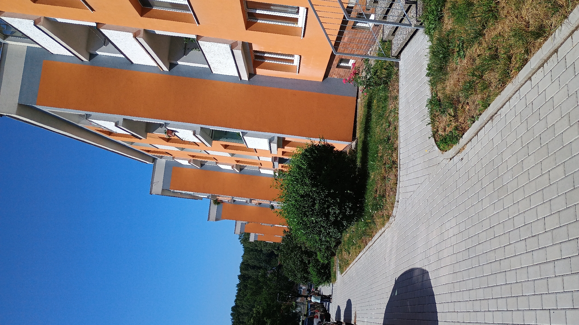 This is a landscape-oriented, low-angle outdoor photograph taken in Sokolov, Czechia. The scene depicts a modern apartment building with orange and grey facades, featuring multiple floors with balconies and windows. A paved sidewalk runs alongside the building, bordered by a strip of dry grass and a lush green bush. The sky above is a clear, bright blue, suggesting a sunny day. The perspective emphasizes the scale of the building and the surrounding urban environment. There are no visible signs of text in the image.