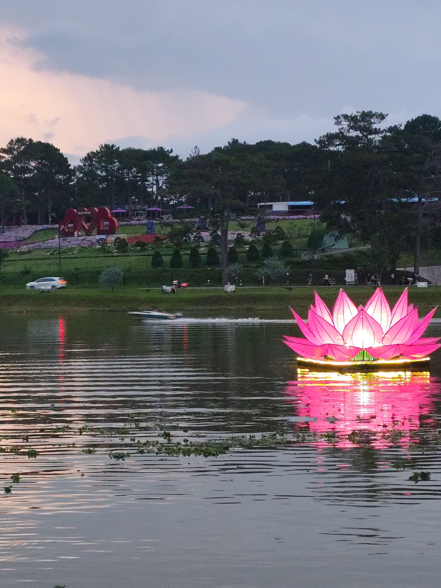 Captured at dusk, the image features a serene scene at Xuan Huong Lake in Da Lat, Vietnam. A large, illuminated pink lotus flower floats on the calm water of the lake, its reflection mirroring the bright glow. In the background, a green landscaped bank rises gently, adorned with trees, flowers, decorative features, and indistinct structures, including vehicles, red decoration items and some people strolling. A car and a boat move across the background and create some light reflections on the lake. The sky is overcast with a mix of grey and pastel hues, contributing to a peaceful yet vibrant atmosphere.