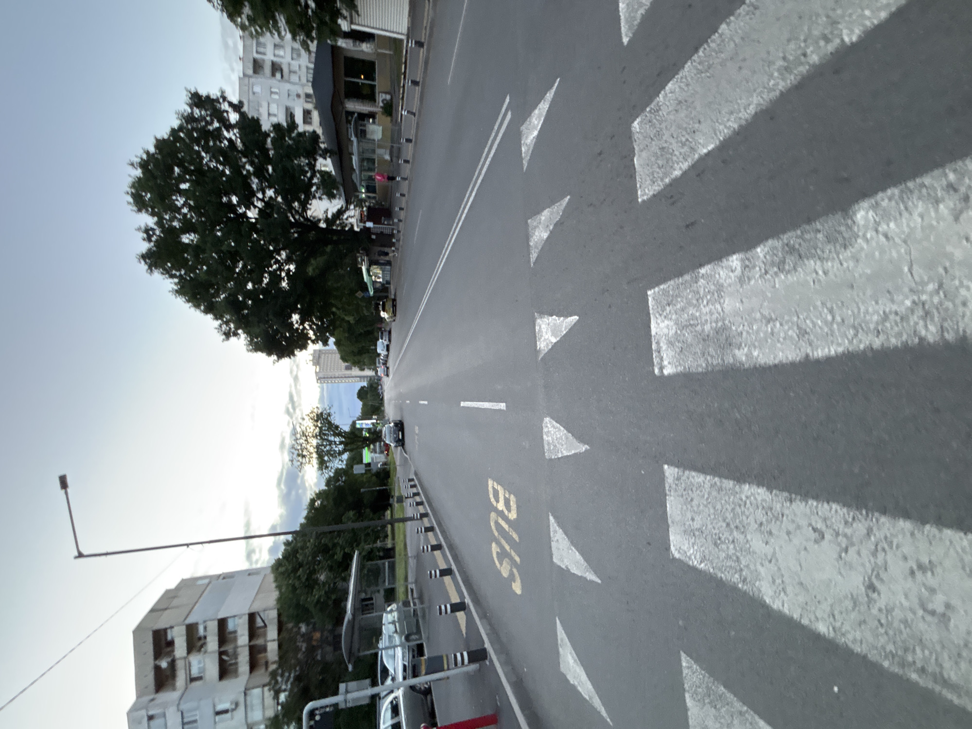 This image captures an urban street scene in Sofia, Bulgaria, likely during the late afternoon or early evening given the soft, diffused light and subtle shadows under a partly cloudy sky. The main subject is a wide, multi-lane asphalt road stretching into the distance.
In the foreground and midground on the right side of the road, prominent white road markings are visible, including parts of a pedestrian crossing (zebra stripes) and a series of white triangular yield markings. Adjacent to these, a dedicated bus lane is marked by a clear yellow "BUS" inscription painted on the asphalt. Further left, towards the center of the road, double solid white lines separate the traffic lanes.
On the left side of the road, a row of black and white striped bollards delineates a curb or median, separating the main roadway from what appears to be a sidewalk or parking area where several cars are parked. A large, densely leafed tree dominates the midground on the left, partially obscuring the multi-story buildings behind it. Various other buildings, some with visible windows and balconies, line both sides of the street further down, contributing to the urban setting. A tall street lamp post stands out against the sky on the far left.
The scene portrays a typical city environment with no specific activity in focus, but the presence of vehicles and street infrastructure suggests a functional urban thoroughfare. The overall impression is one of everyday city life.