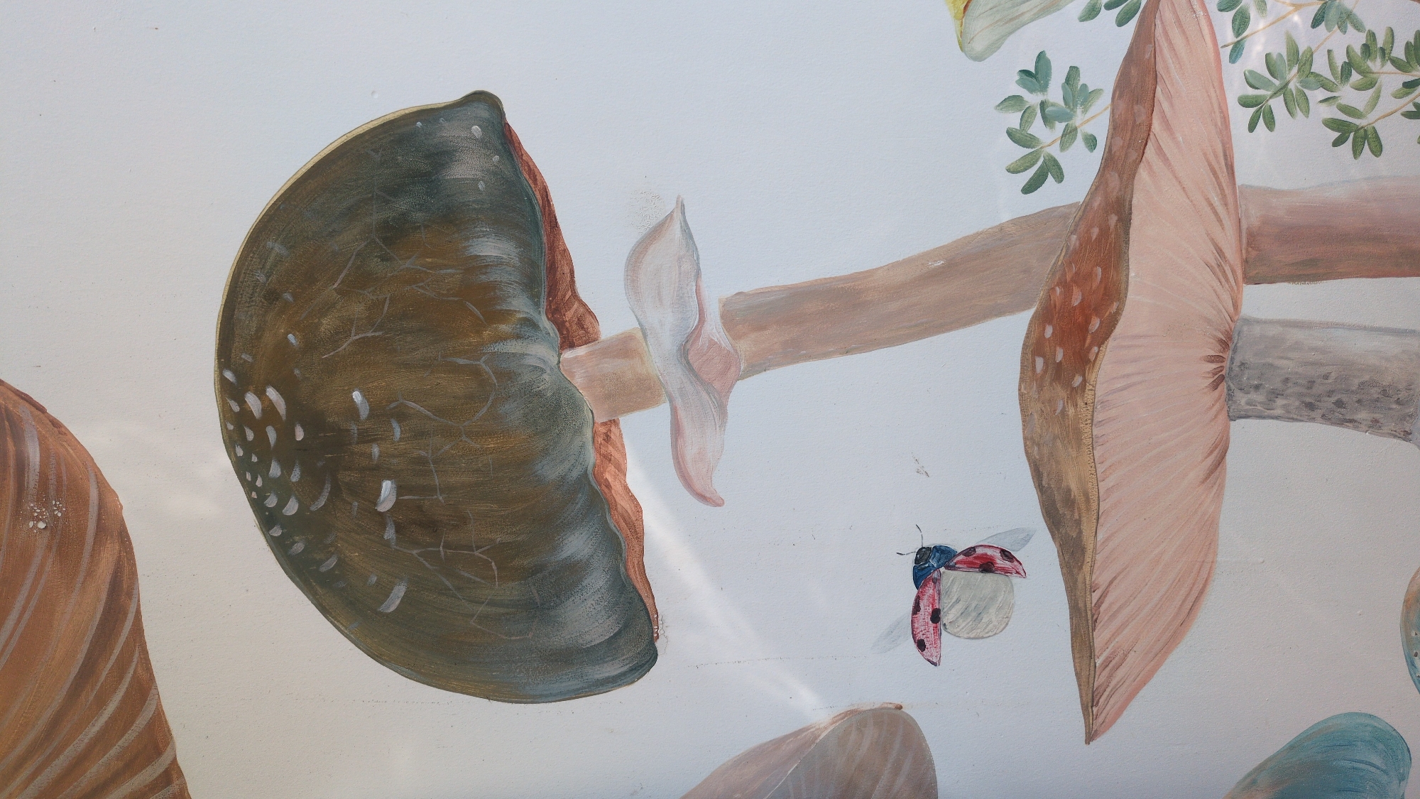 This image shows a painted mural featuring several mushrooms and a ladybug. The mushrooms are depicted in various shades of brown and pink, with one prominent mushroom displaying white spots. A red and black ladybug is also visible. The mural is painted on a white surface, which could be a wall or ceiling. The location of this image is in Da Lat, Vietnam.