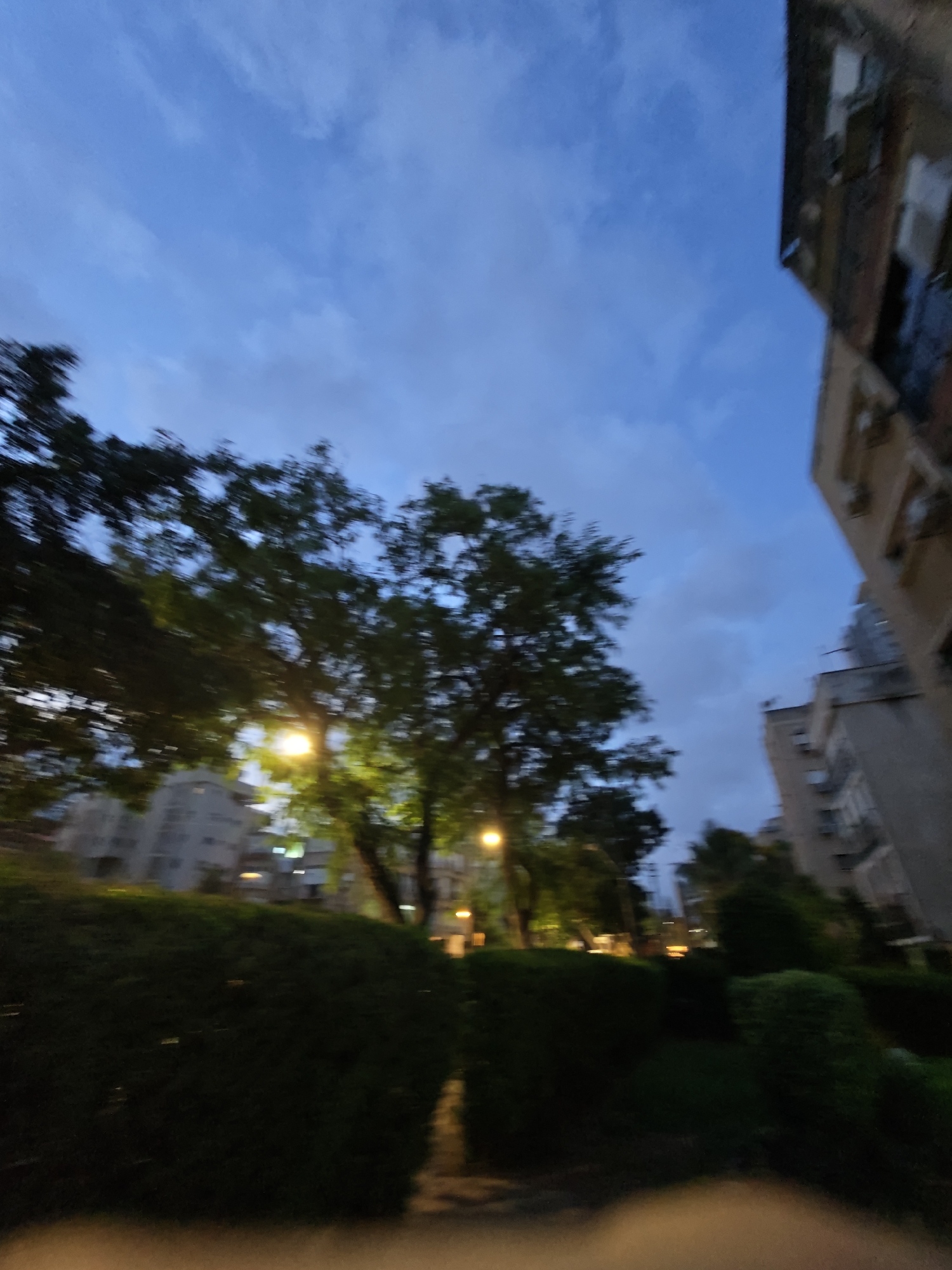 The image depicts an outdoor urban scene during twilight, likely in Petah Tikva, Israel. In the foreground, a dark, manicured hedge runs horizontally across the frame. Beyond the hedge, trees with blurred foliage are visible, some illuminated by streetlights emitting a yellow-green glow. The background features several multi-story buildings, typical of an urban environment, with visible windows and balconies. The sky is a deep blue, partially obscured by wispy clouds. The overall impression is one of a residential or park area within a city, captured during the transition from day to night.