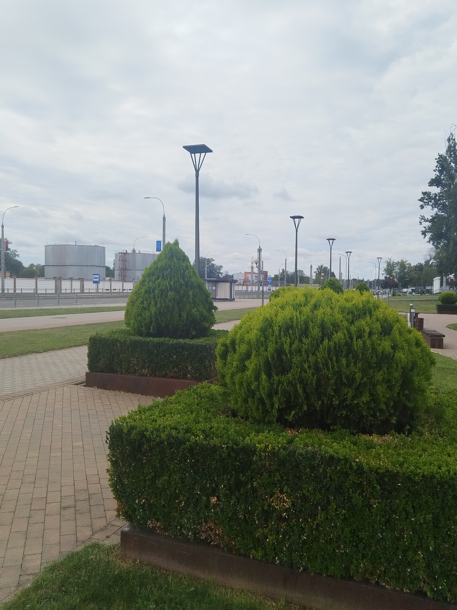 The image depicts a street scene in Brest, Belarus, with a focus on the landscaping and urban infrastructure. In the foreground, neatly trimmed green bushes are arranged in planters. A paved walkway, made of rectangular bricks, runs diagonally across the lower left of the frame. Beyond the bushes, a grassy area is visible.
In the midground, several modern lampposts with a distinctive angular design are spaced along the street. Behind the lampposts, a bus stop shelter with a glass facade is situated. Further in the background, a row of large, industrial-looking cylindrical tanks, possibly storage facilities, are visible. These tanks are enclosed by a fence, and a road with some traffic is present in front of them. The sky is overcast with clouds. The overall impression is that of a well-maintained public space in an urban environment, possibly near an industrial or logistical area.