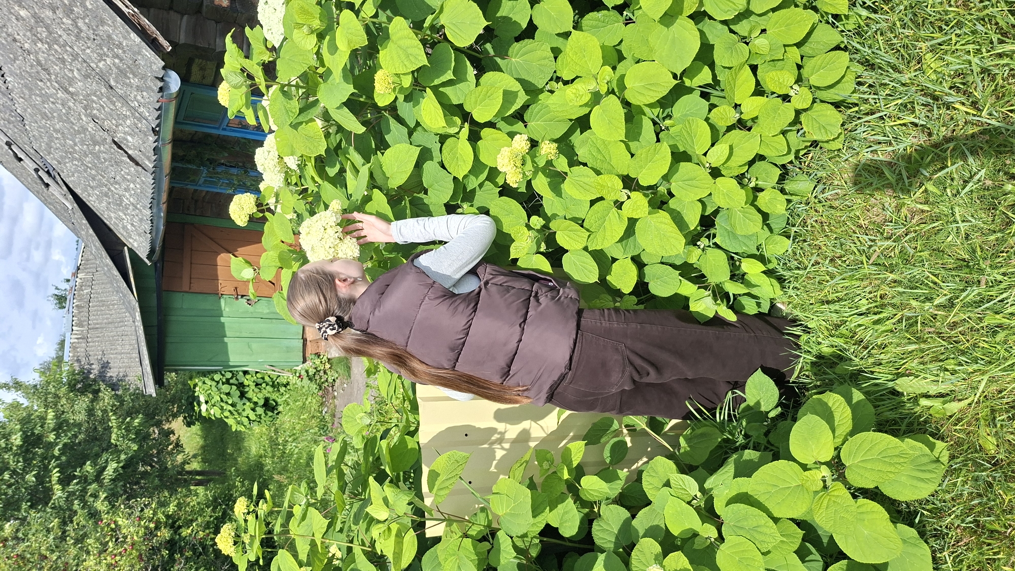 A young woman with long brown hair tied back in a ponytail and wearing a brown vest over a light grey long-sleeved shirt and brown pants is smelling a cluster of light yellow flowers. She is positioned in front of a large bush with abundant green leaves and yellow flowers. To the left of the woman is a yellow metal fence panel. In the background, a rustic wooden and stone building with a grey, corrugated roof is visible, with a green-painted section and a brown wooden door. The scene appears to be outdoors in a rural setting, possibly a backyard or garden, with green grass and trees in the surrounding area, consistent with the location of Сваткаўскі сельскі Савет, Belarus. The lighting suggests a daytime scene with sunlight.