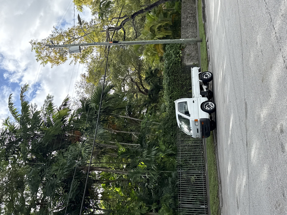 A white mini truck is parked on the right side of an asphalt road, bordered by a green hedge and a black iron fence. Behind the fence, a lush collection of tropical palm trees and greenery fills the frame. Overhead, a utility pole stretches horizontally, with power lines cutting across the sky. The sky is partially cloudy, with patches of blue visible through the leaves of trees overhead.