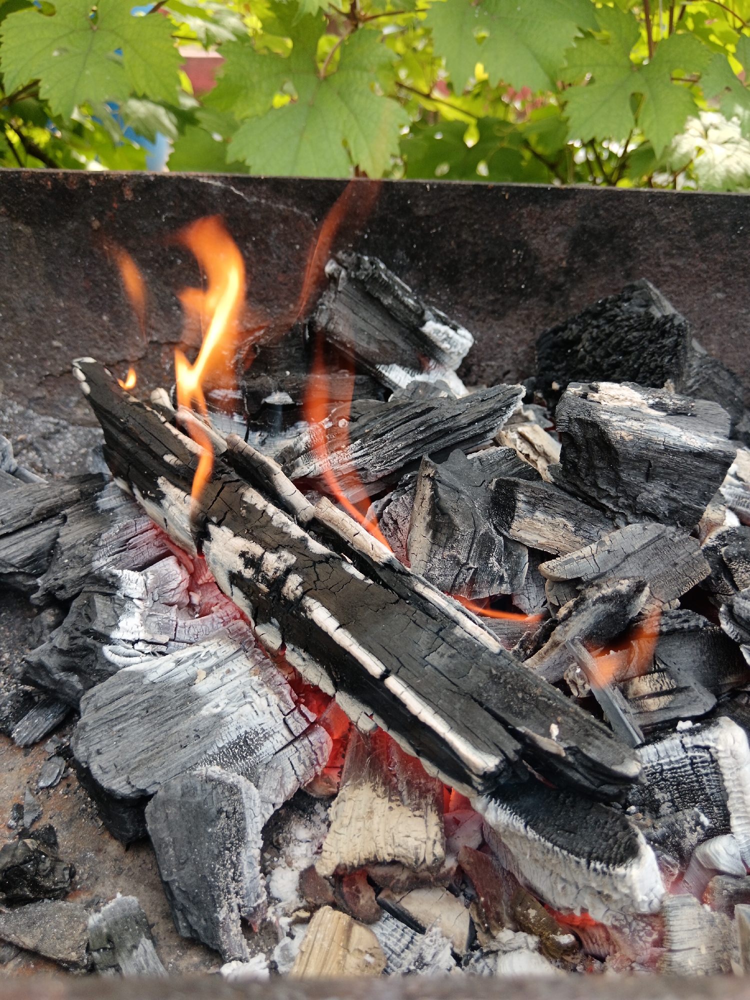 A close-up, low-angle shot captures a charcoal grill with burning embers and flames. The grill is filled with chunks of charcoal and pieces of wood, some of which are actively burning. Orange flames lick around the wood and embers, casting a warm glow. In the background, out-of-focus green leaves and branches suggest an outdoor setting, possibly a garden or yard. The image appears to be taken outdoors in the city of Sorochinsk, Russia.