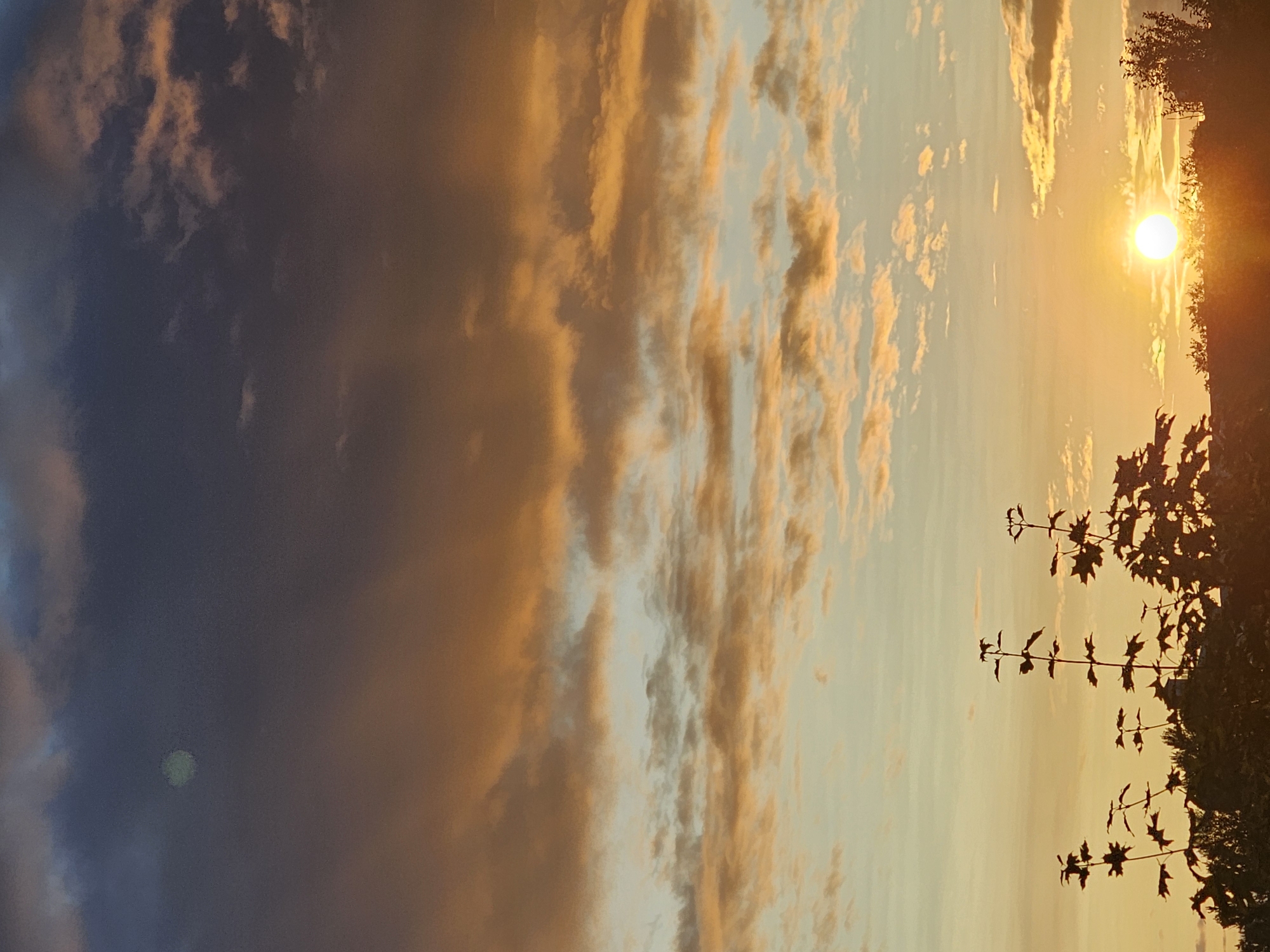 The image depicts a sunset over a city, likely Khimki, Russia, as indicated by the context. The sky is filled with dramatic clouds, ranging from dark, moody grays and blues at the top to warm oranges and yellows as they approach the horizon. Wisps of lighter clouds are scattered throughout, catching the fading sunlight. A faint, pale green circular object is visible in the upper left portion of the sky, possibly a planet or the moon partially obscured by clouds.
In the foreground, silhouetted against the vibrant sky, are the dark shapes of trees and foliage, their branches reaching upwards. Some of these appear to be deciduous trees with distinct leaf shapes. The setting sun is a bright, glowing orb near the horizon, casting a warm, golden light that illuminates the lower clouds and silhouettes the landscape. The bottom portion of the image is dominated by the dark outlines of trees and what appears to be the rooftops of buildings, suggesting an urban or suburban setting. There are no visible people or animals in the frame. The overall scene is one of a natural, atmospheric phenomenon occurring over a populated area.