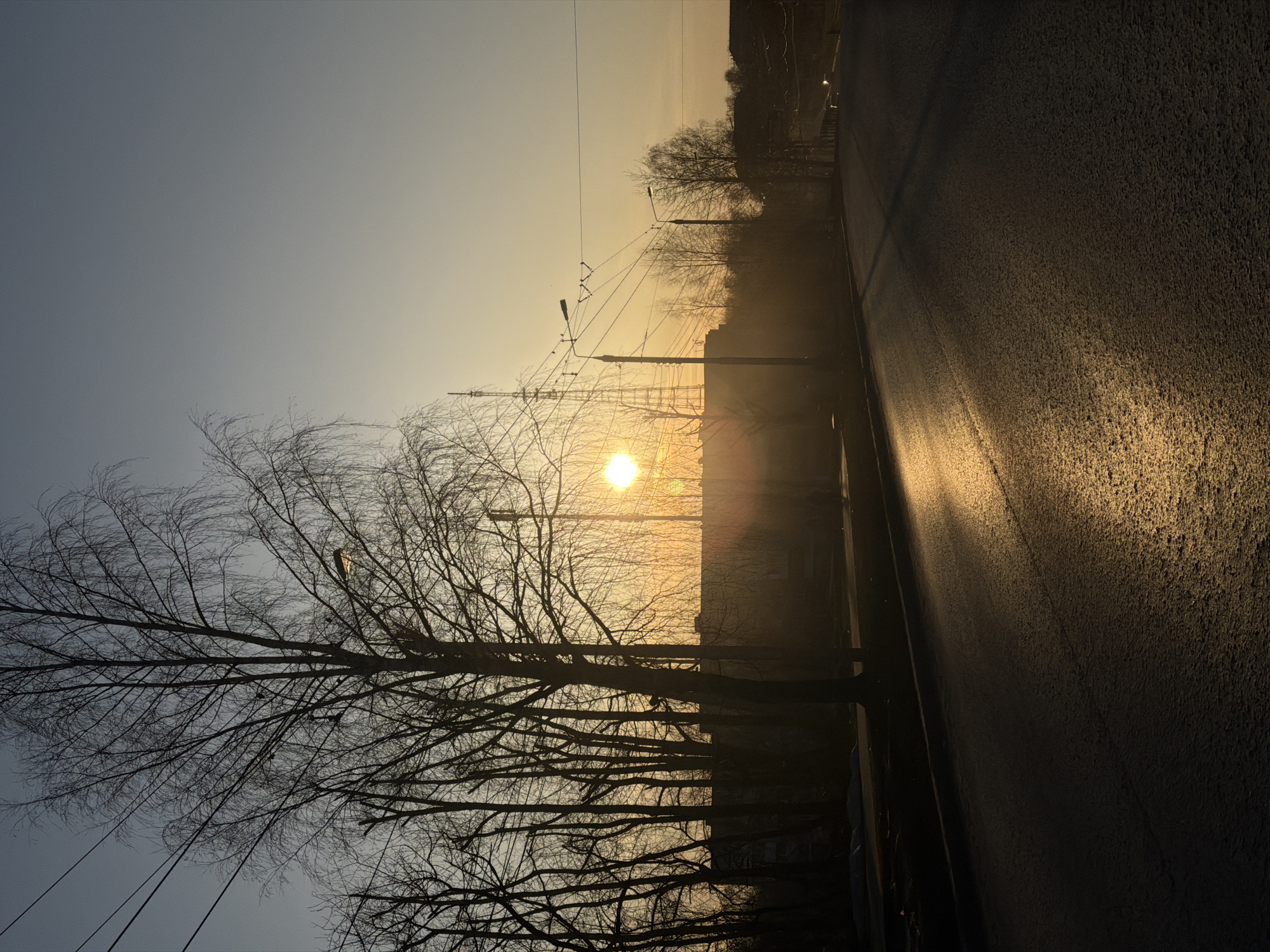 The image captures a winter cityscape at sunrise or sunset, likely in Berezniki, Russia. A bare tree with many branches occupies the left foreground, silhouetted against the pale sky. A street runs along the right side of the frame, with asphalt reflecting the sunlight. Power lines and streetlights are visible in the middle ground, further illuminated by the sun. Behind the streetlights, building silhouettes are barely visible. The sky transitions from a light blue to a golden hue where the sun is located.