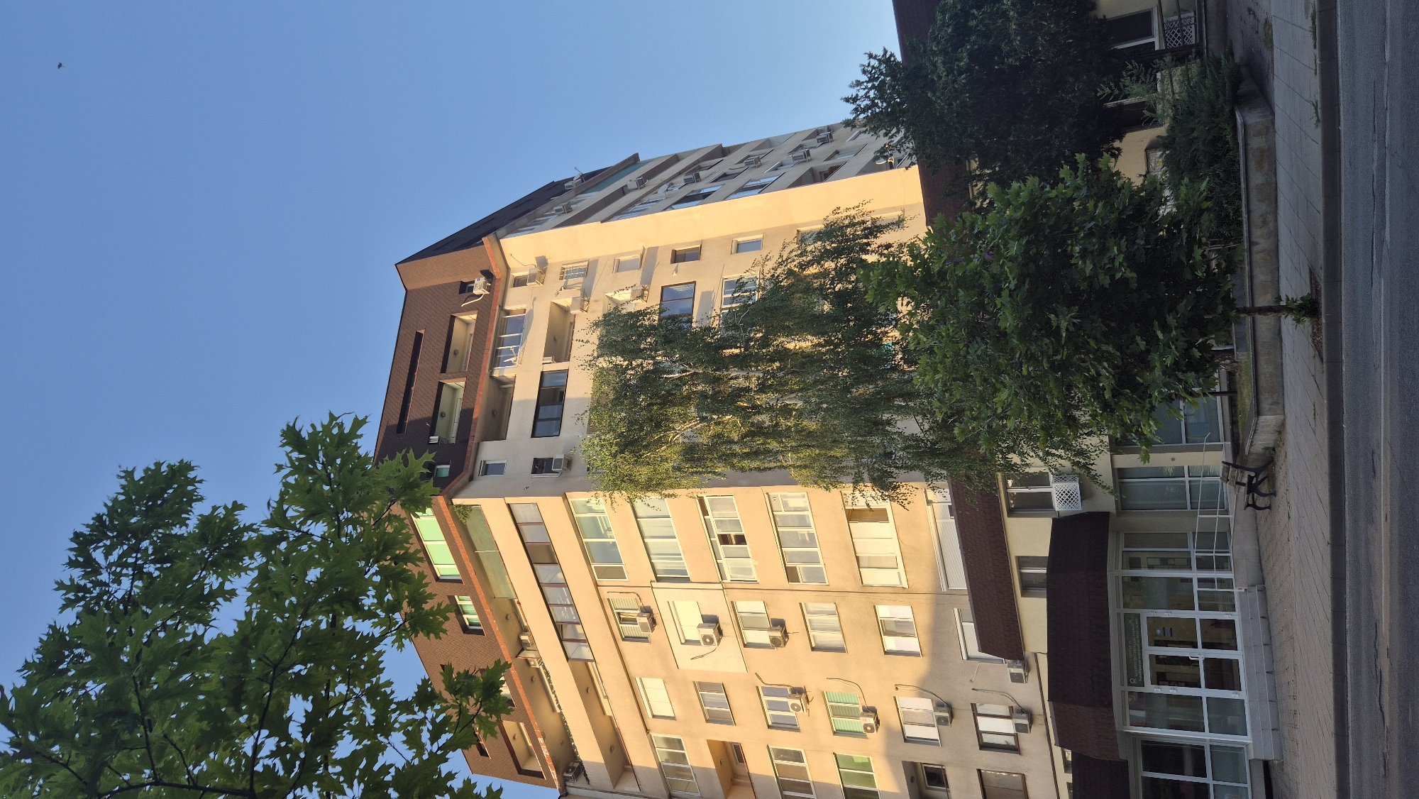 The media file depicts a multi-story apartment building in Lovech, Bulgaria, viewed from a slightly low angle. The building has a mix of architectural styles, with some sections featuring a darker, brick-like facade and others a lighter, cream-colored finish. Numerous windows are visible, many equipped with air conditioning units. Trees with lush green foliage partially obscure the building, suggesting it's spring or summer. The sky is a clear, bright blue, indicating a sunny day. The sunlight casts a warm glow on the building, particularly on the cream-colored sections, suggesting it is either early morning or late afternoon. The presence of a sidewalk, a road, and a park bench to the side of the building suggests an urban or semi-urban setting. No people are visible in the media file. There is no visible text that can be read.