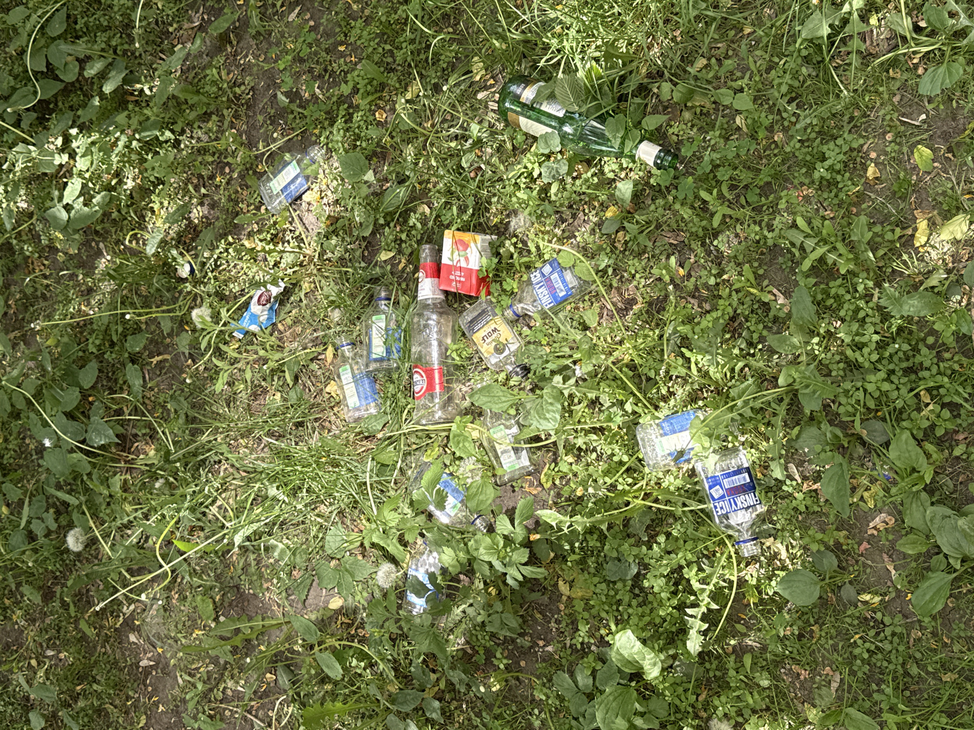 The image shows a patch of ground covered in grass and various debris, including empty liquor bottles, cigarette packaging, and candy wrappers. The bottles are mostly clear glass vodka bottles. The cigarette packaging is red and white. The scene appears to be outdoors, possibly in a park or grassy area within the city of Moscow, Russia, based on the Cyrillic lettering on the bottles. There are no people visible in the image. The environment is unkempt, suggesting littering or neglect.