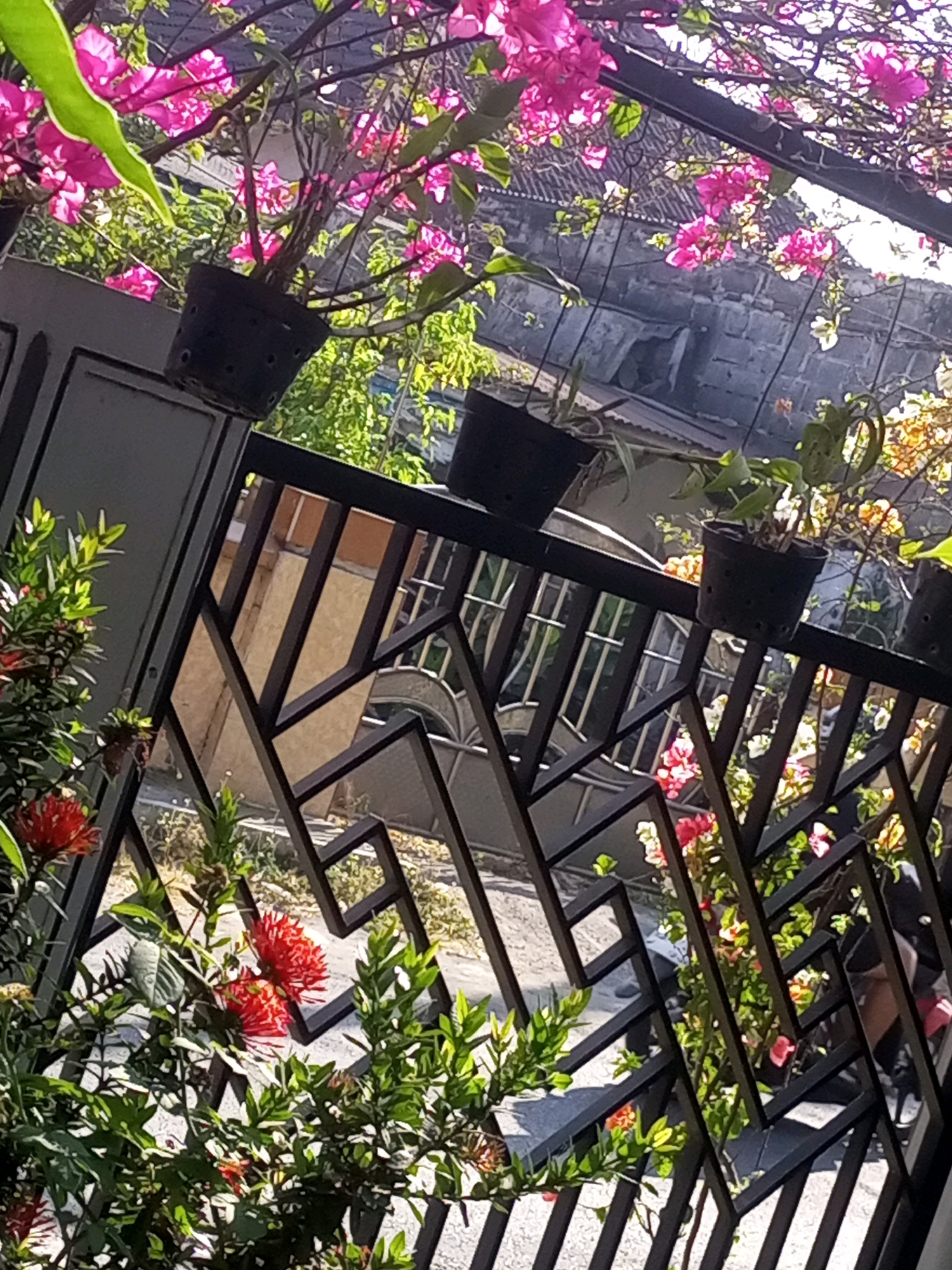The image shows a close-up view of a black metal fence with a geometric pattern, decorated with hanging potted plants and flowering vines. The foreground features vibrant pink bougainvillea and red flowers with green foliage. In the background, several more potted plants with pink and white flowers are visible. Behind the fence and plants, a building with a tiled roof and stone walls can be seen. The scene appears to be outdoors, likely a residential area, given the presence of flowers and a fence. The lighting suggests it is daytime. The specific location in Ngasem, Indonesia, is inferred from the request, though not explicitly visible in the image itself. There are no people clearly depicted in the image.