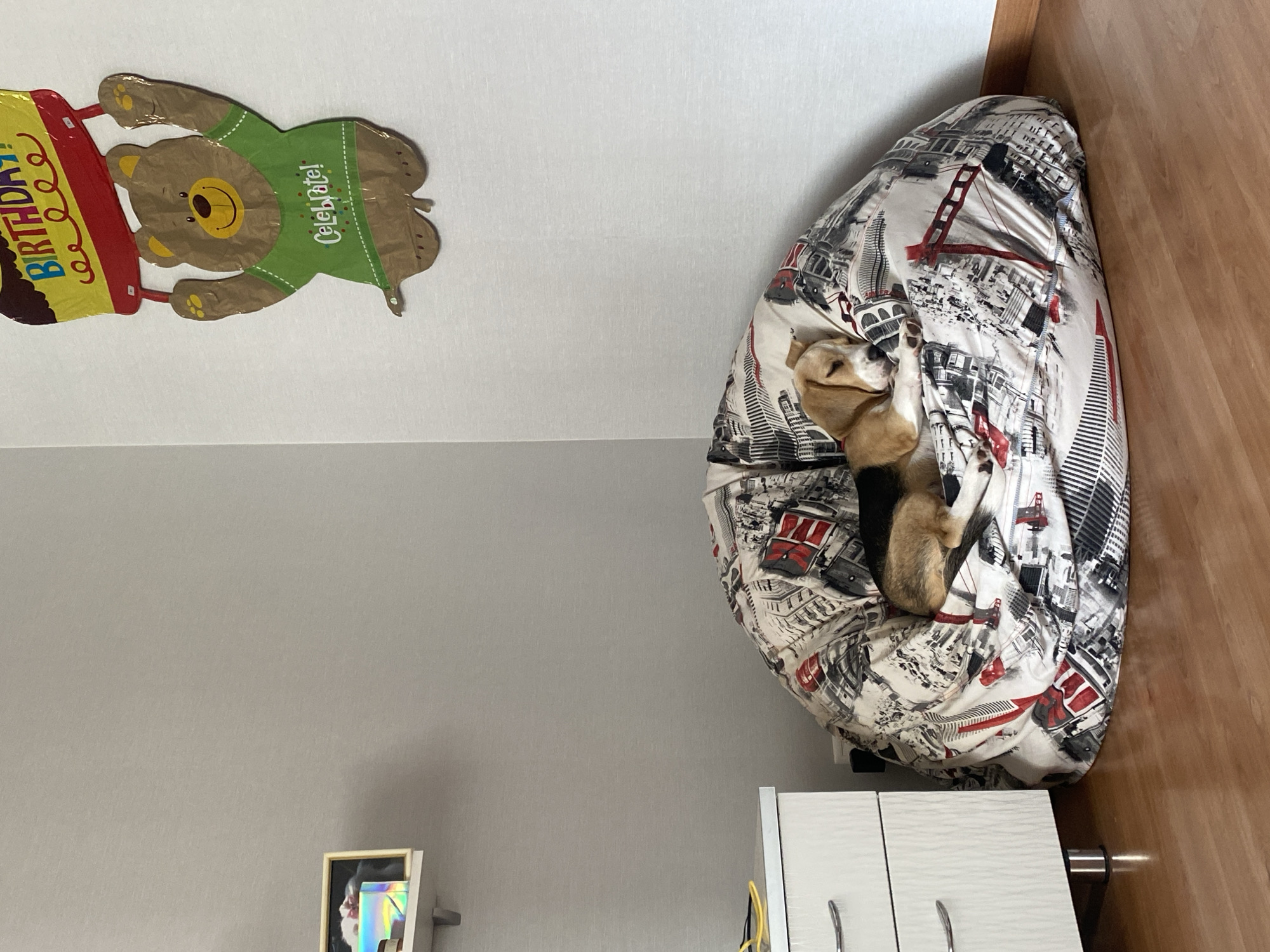 A beagle puppy sleeps on a large beanbag chair with a city-themed pattern. The beanbag is placed on a wooden floor next to a white dresser with silver handles. On the wall behind the beanbag, there is a brown bear balloon with a green shirt that says "Celebrate!" and a yellow "Birthday!" banner. To the left of the bear balloon, there is a small shelf with a framed picture and a holographic object. The overall environment appears to be a child's bedroom or playroom. The image does not provide any specific information about the city of Perm, Russia.